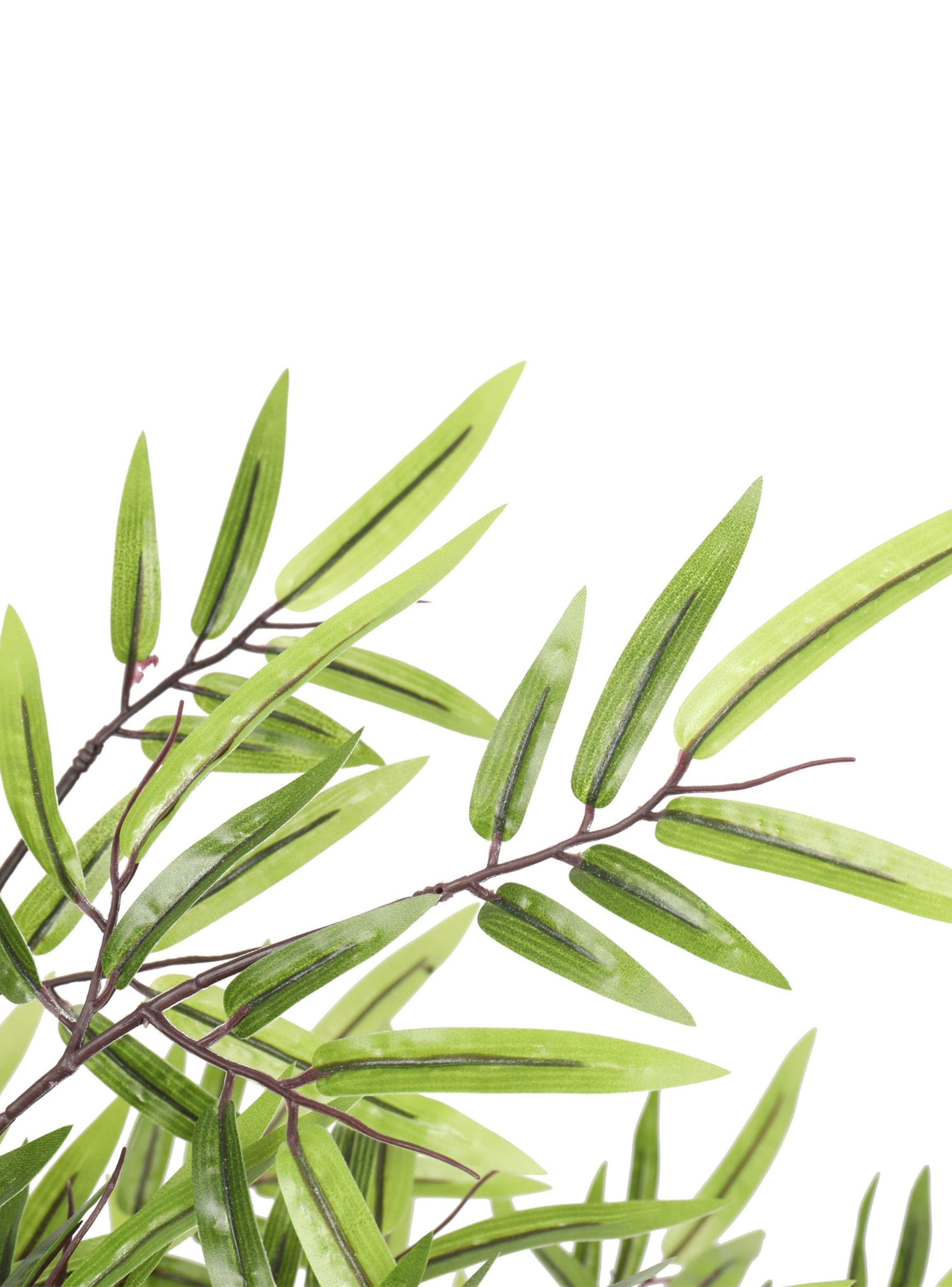 Bamboo Negro de 120 cm-2