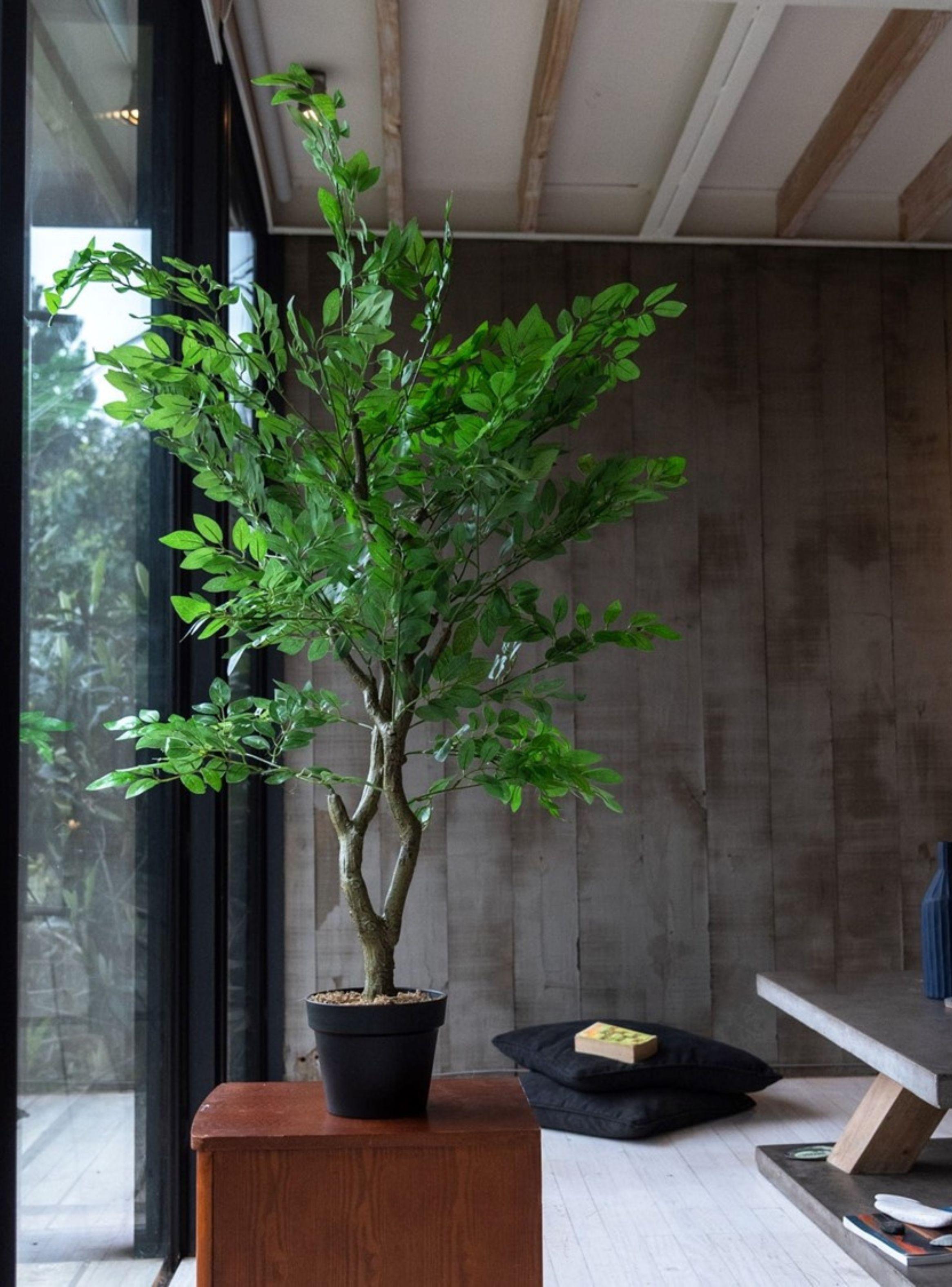 Arbol de la langosta de 120 cm-1