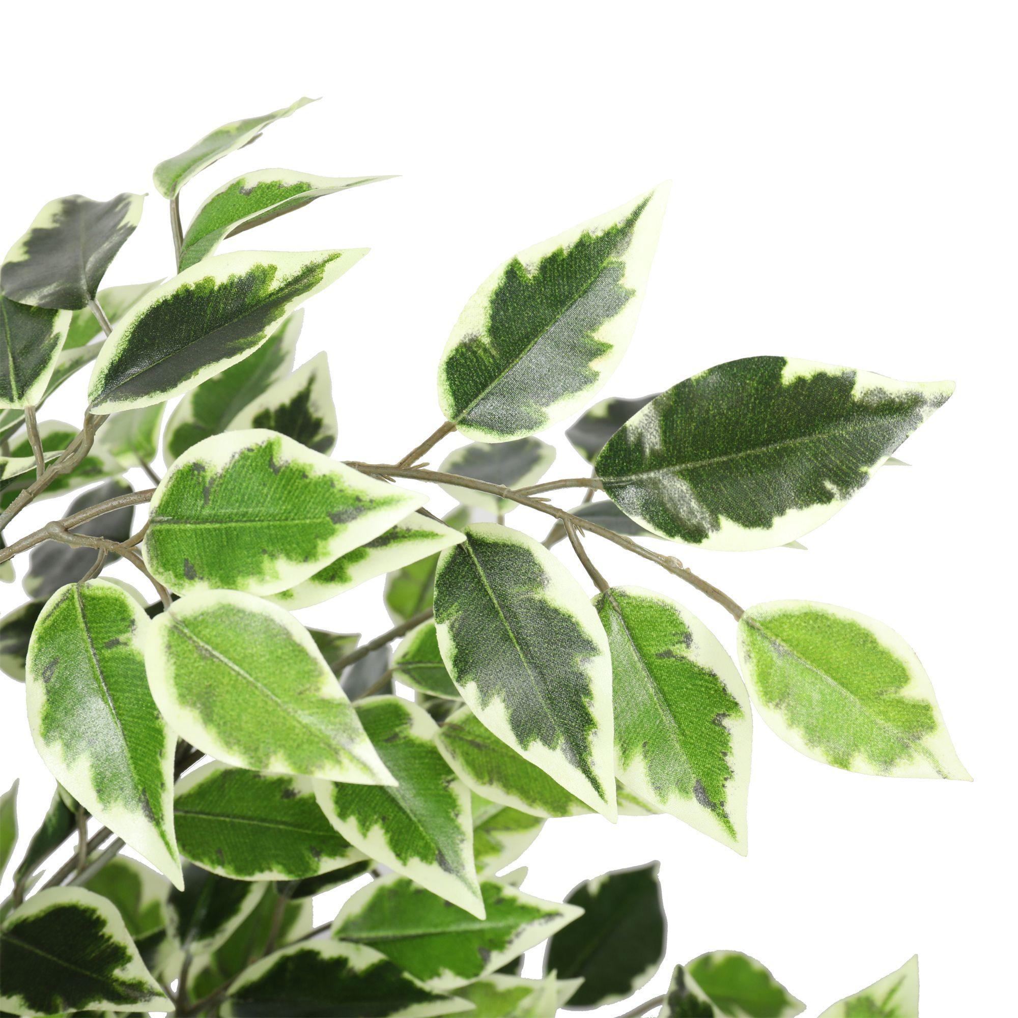 Ficus Benjamina Follaje Bicolor Artificial de 120 cm Doble Tronco -2