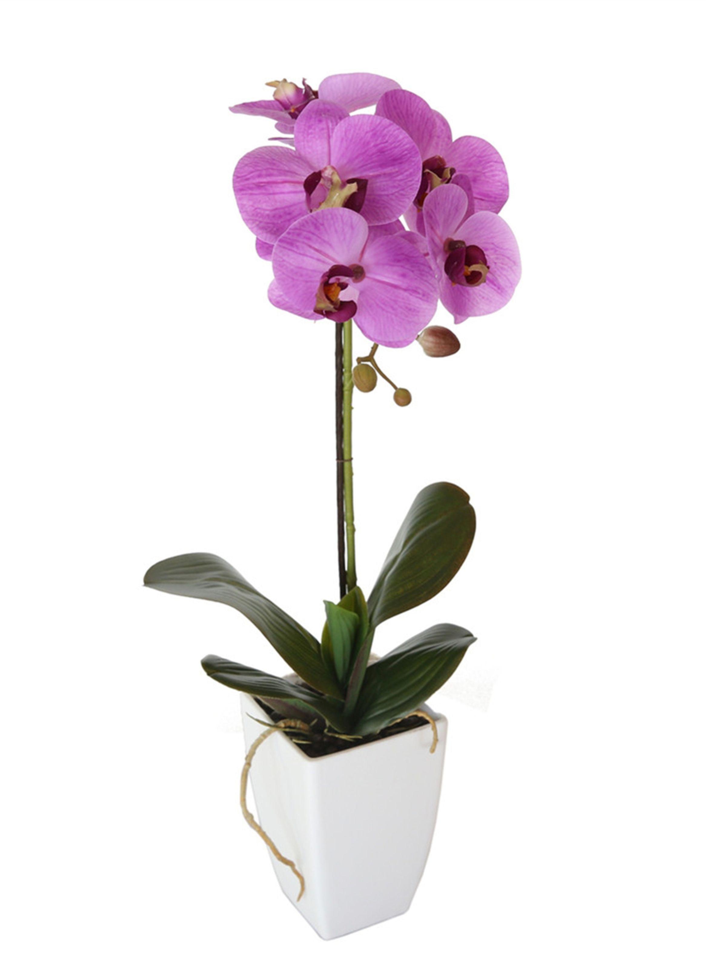 Orquídea morada de 52 cm en macetero-2
