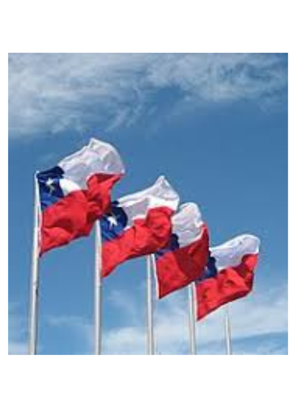 Bandera Chilena 140 X 210 Cm Tela ESTRELLA Bordada Reforzada-0