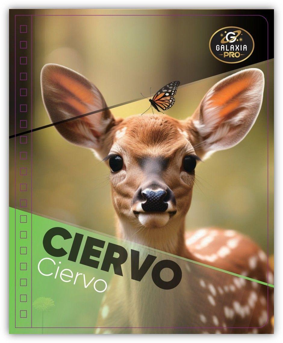 Pack 10 Cuadernos Universitarios Matem ticas 100 Hojas 7mm Fauna Galaxia Pro-2