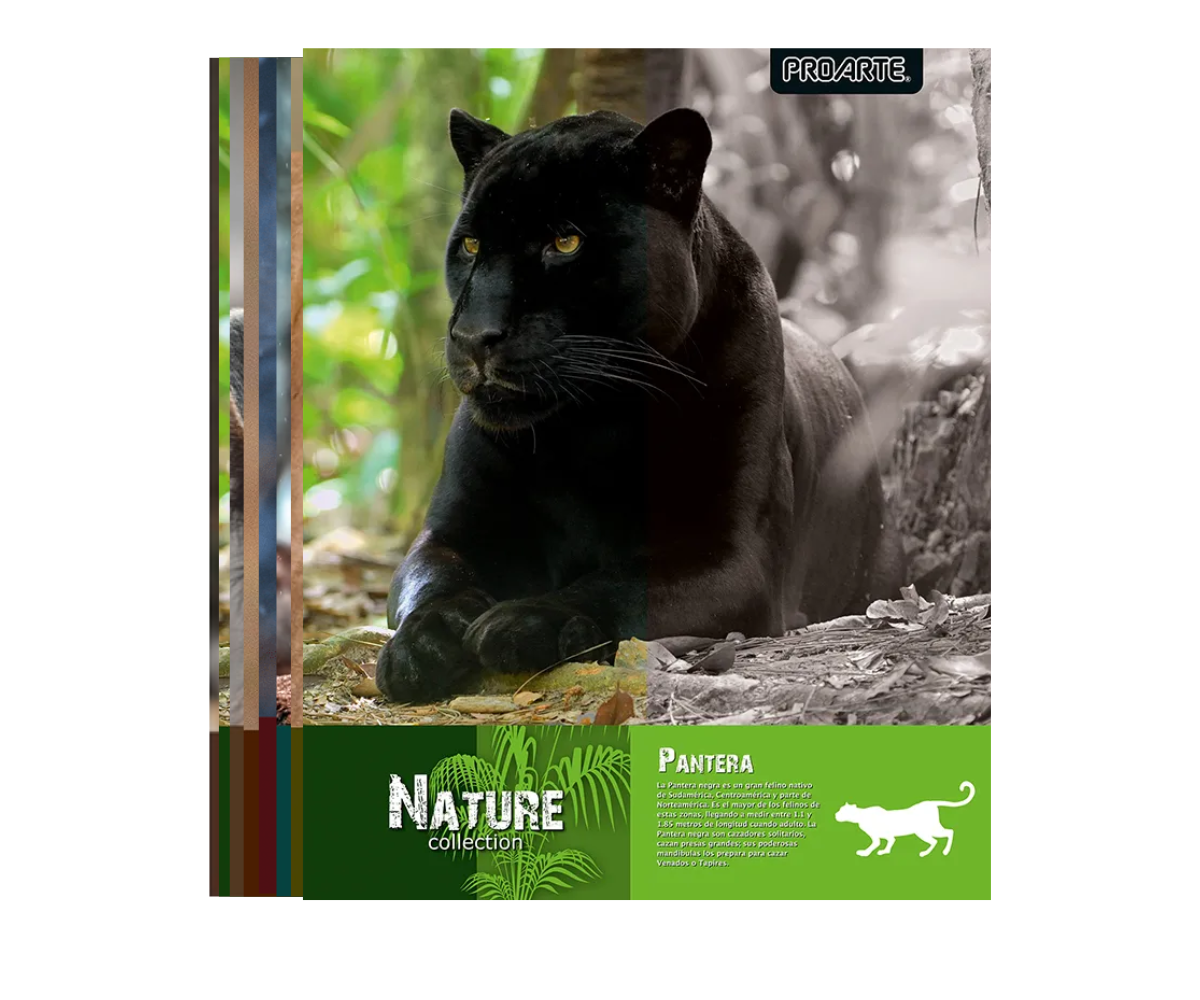 Cuaderno Universitario 7mm 100 hjs Nature Proarte x10uni -0