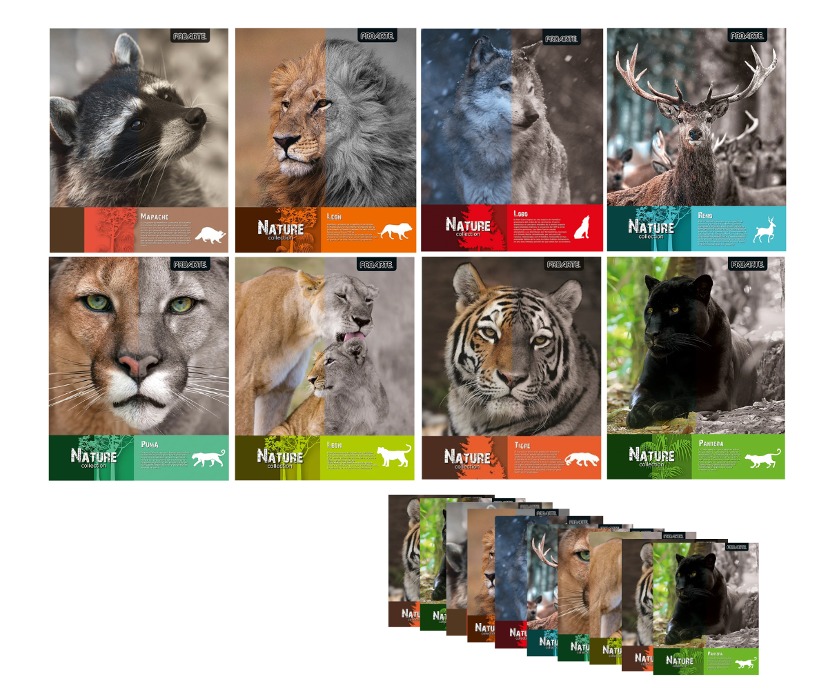 Cuaderno Universitario 7mm 100 hjs Nature Proarte x10uni -1