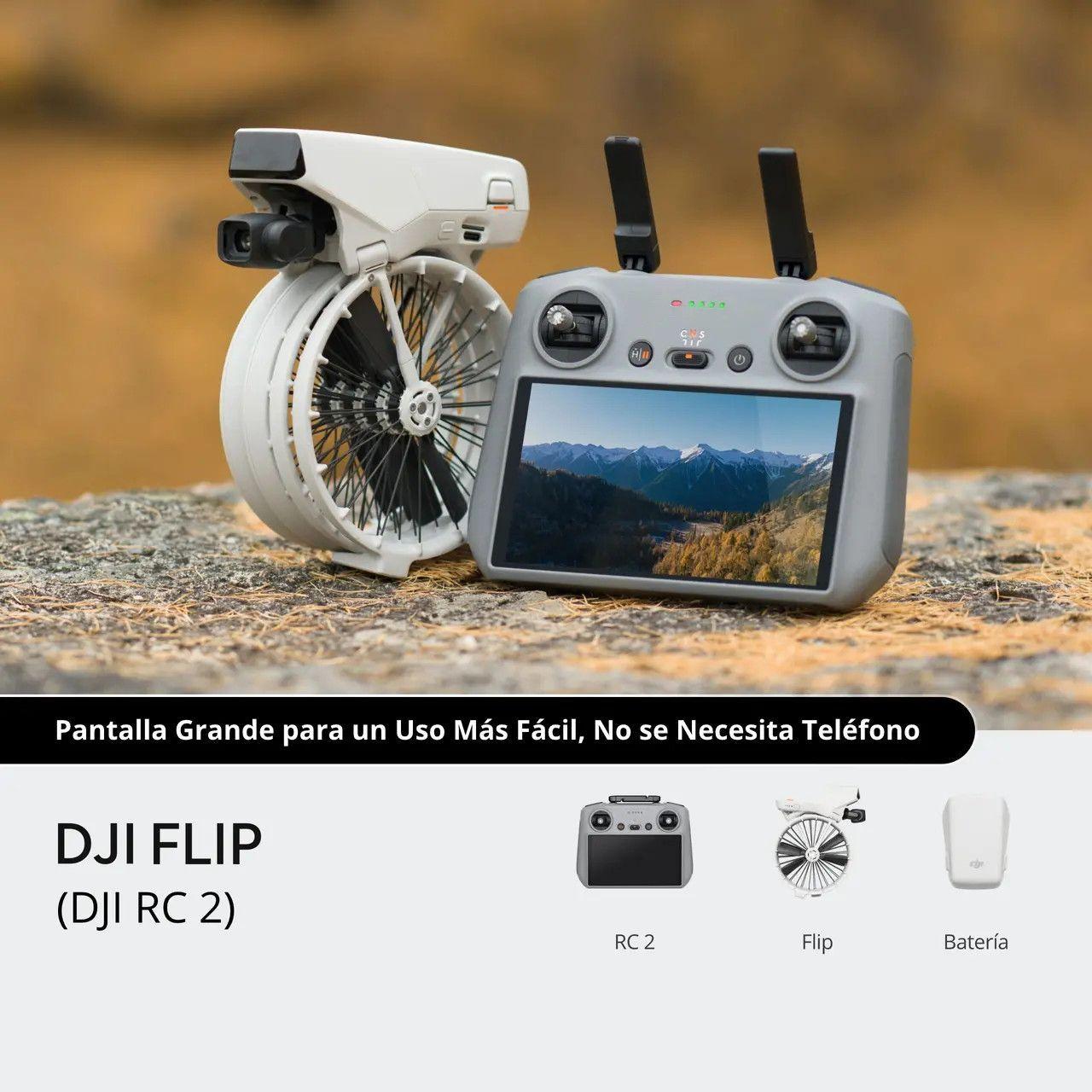 DJI Flip (RC 2) (GL)-1