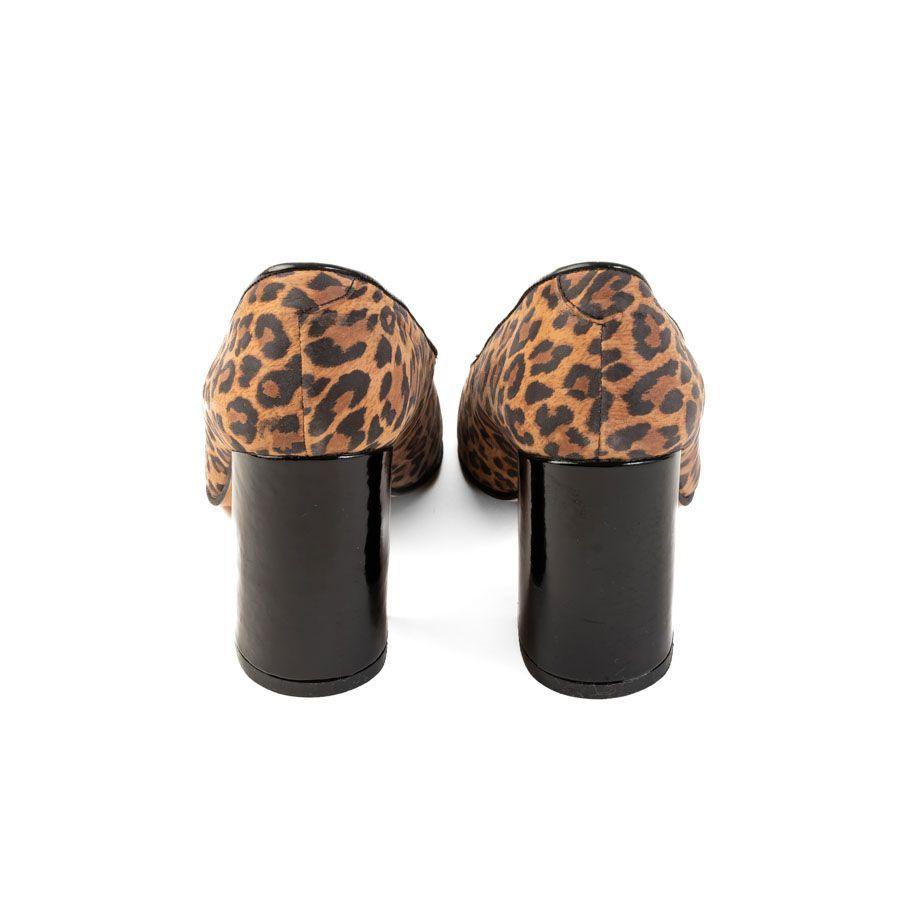 Zapato Vaniuska Feline Elegance-3