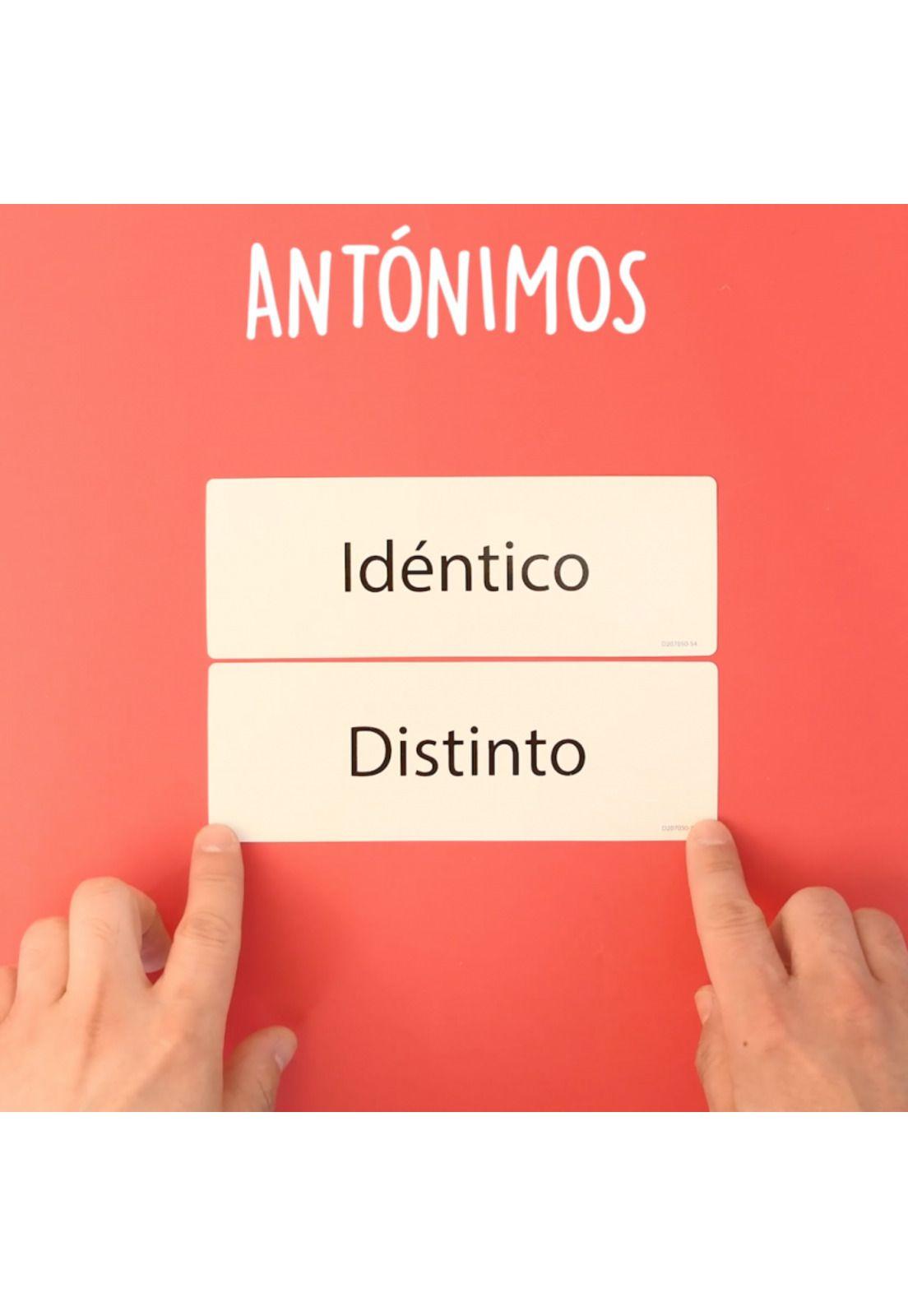 Sinónimos y Antónimos: Láminas para Enriquecer Vocabulario-1