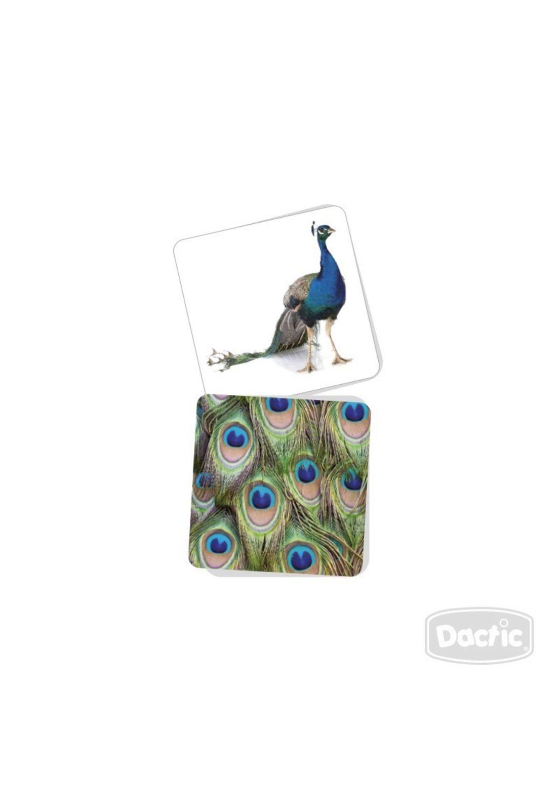 Fichas de Textura Animal: Aprendizaje Sensorial para Niños-1