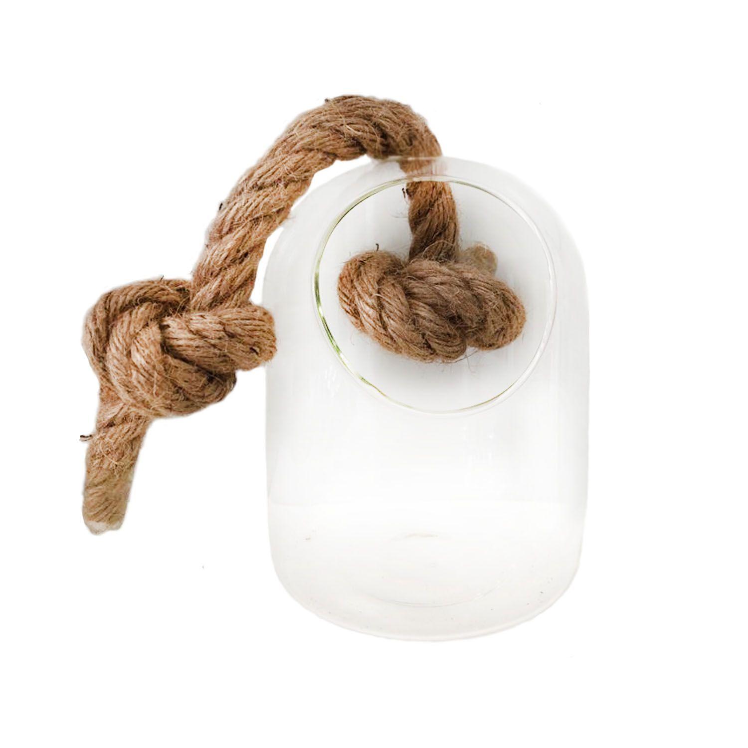 Terrario suculenta de vidrio con cuerda 15 cm-0