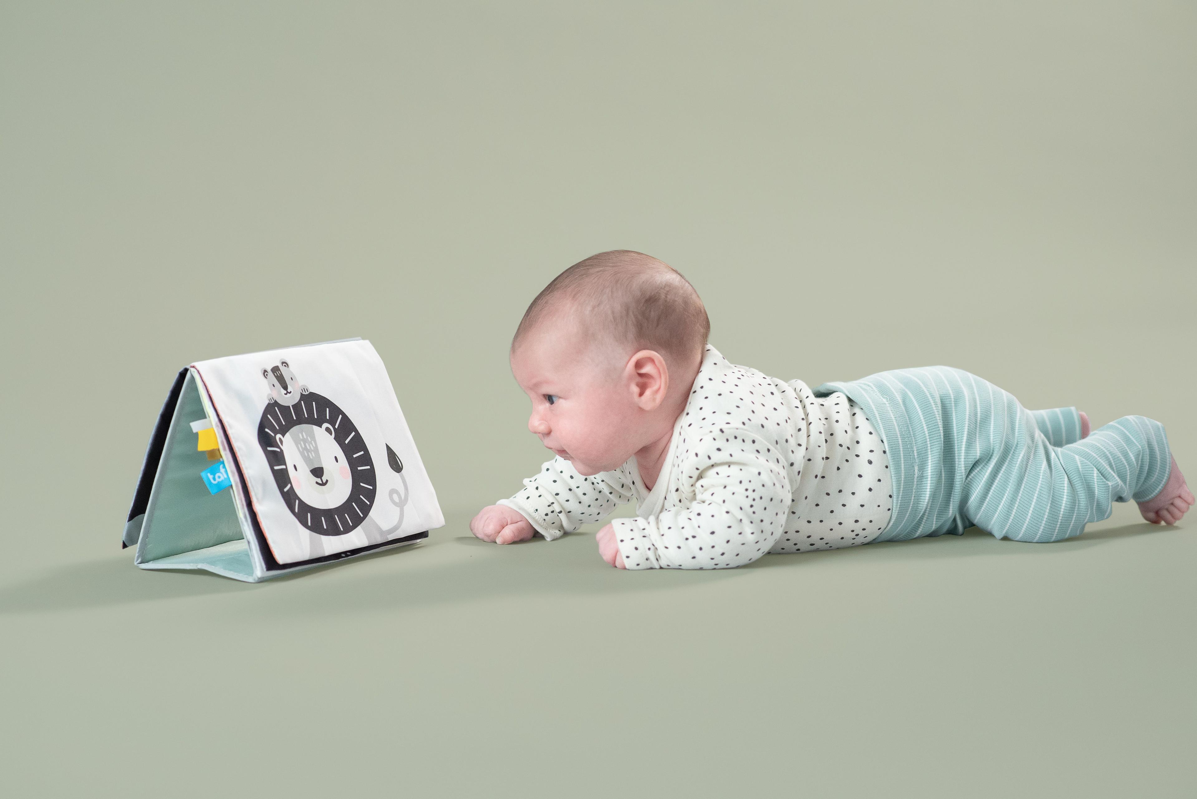 Libro de Estimulación Savannah-6