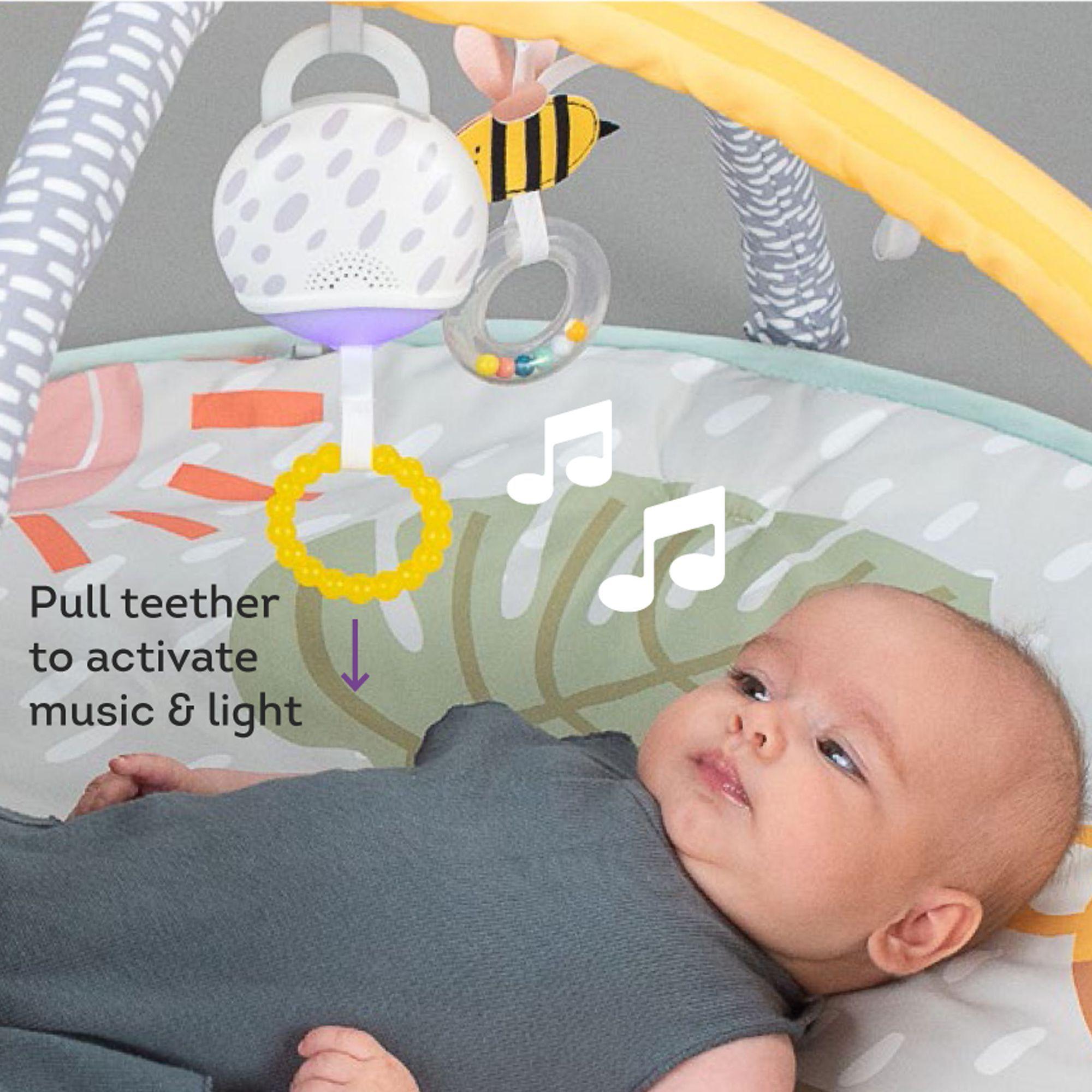 Gimnasio de Actividades 360 ° Savannah-2