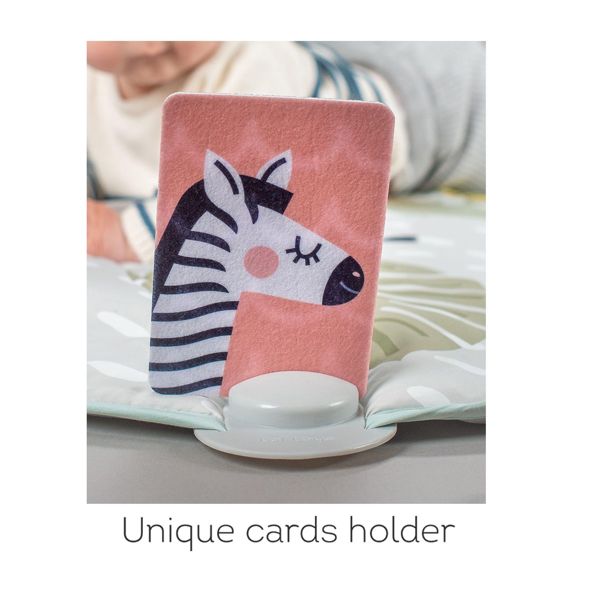 Gimnasio de Actividades 360 ° Savannah-3