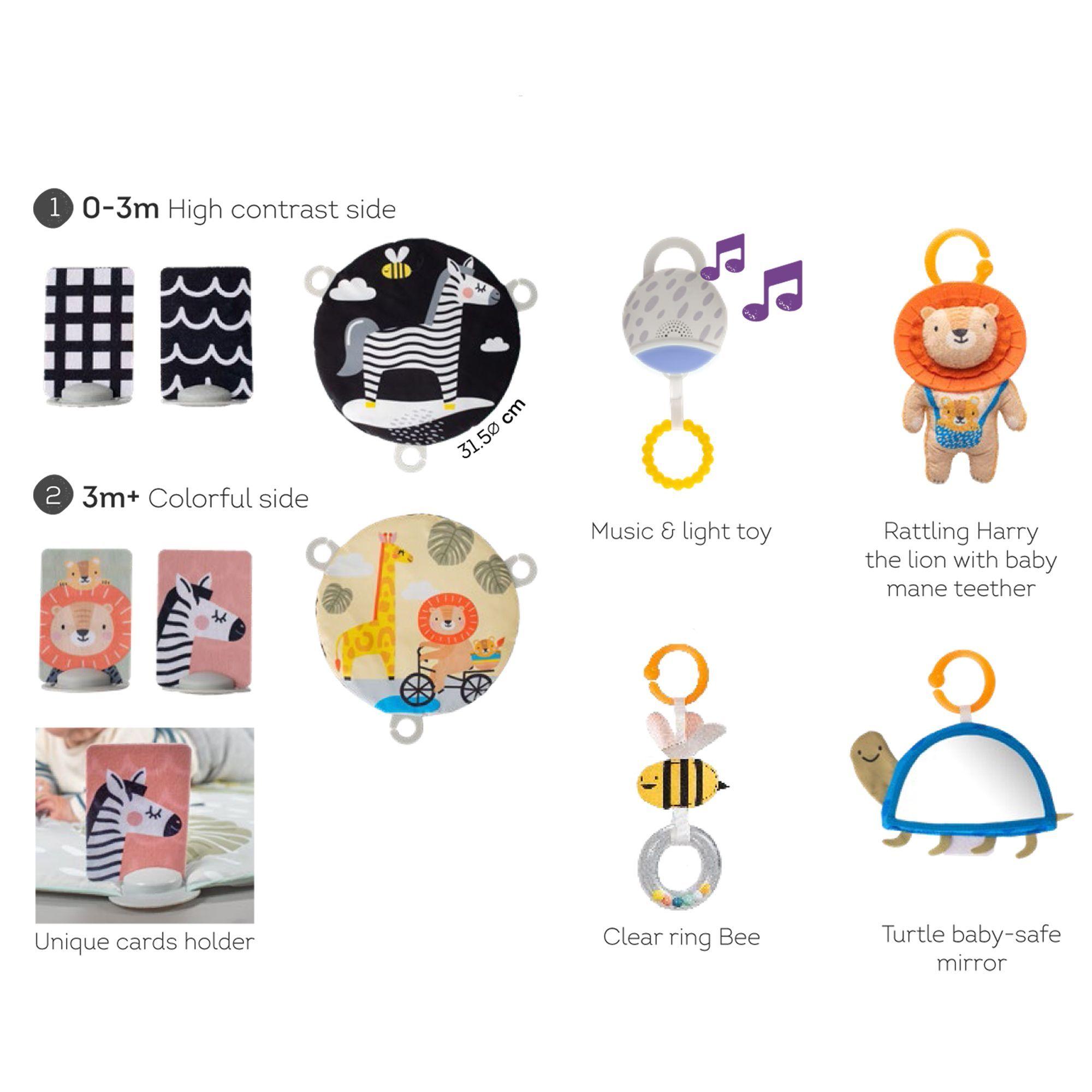 Gimnasio de Actividades 360 ° Savannah-4