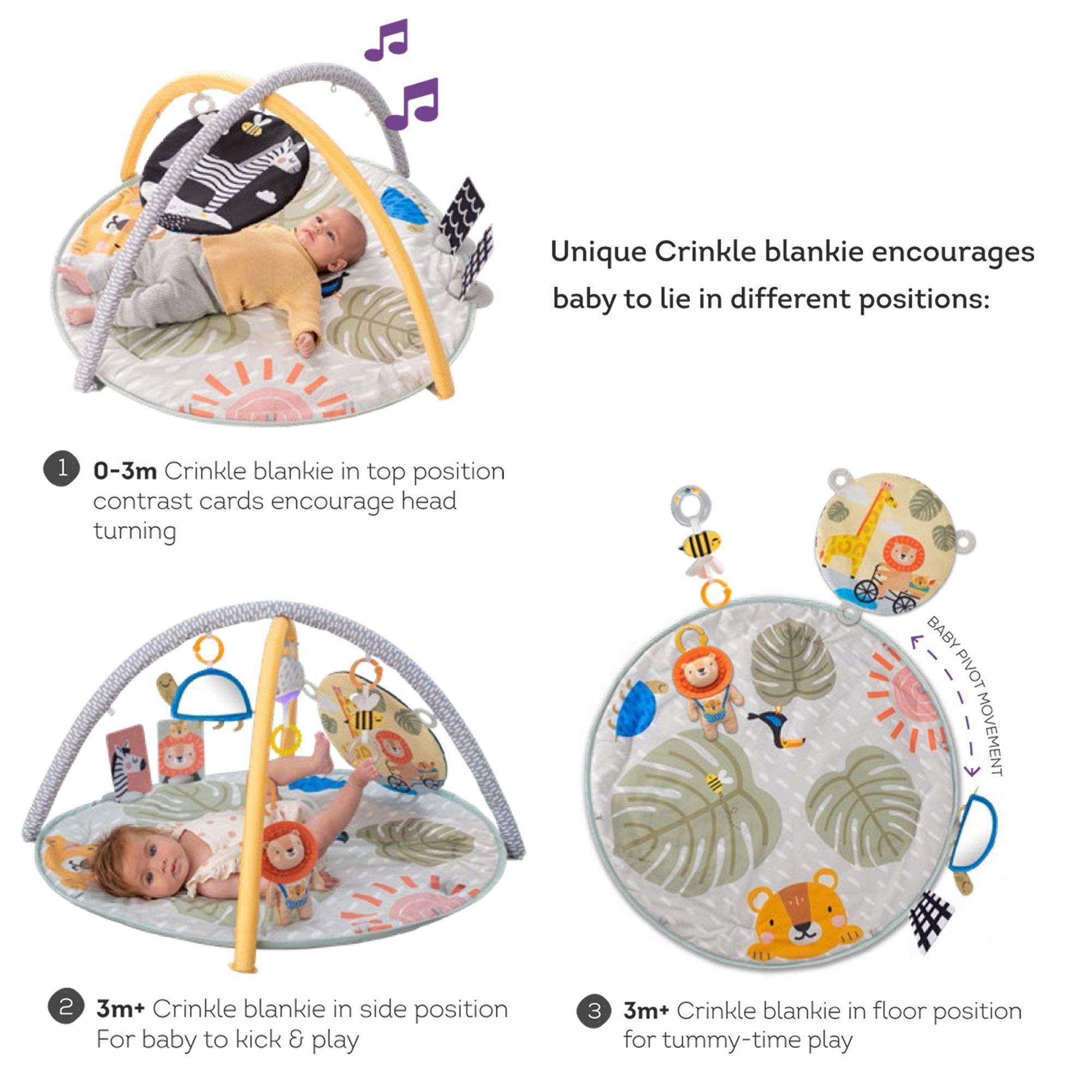 Gimnasio de Actividades 360 ° Savannah-5