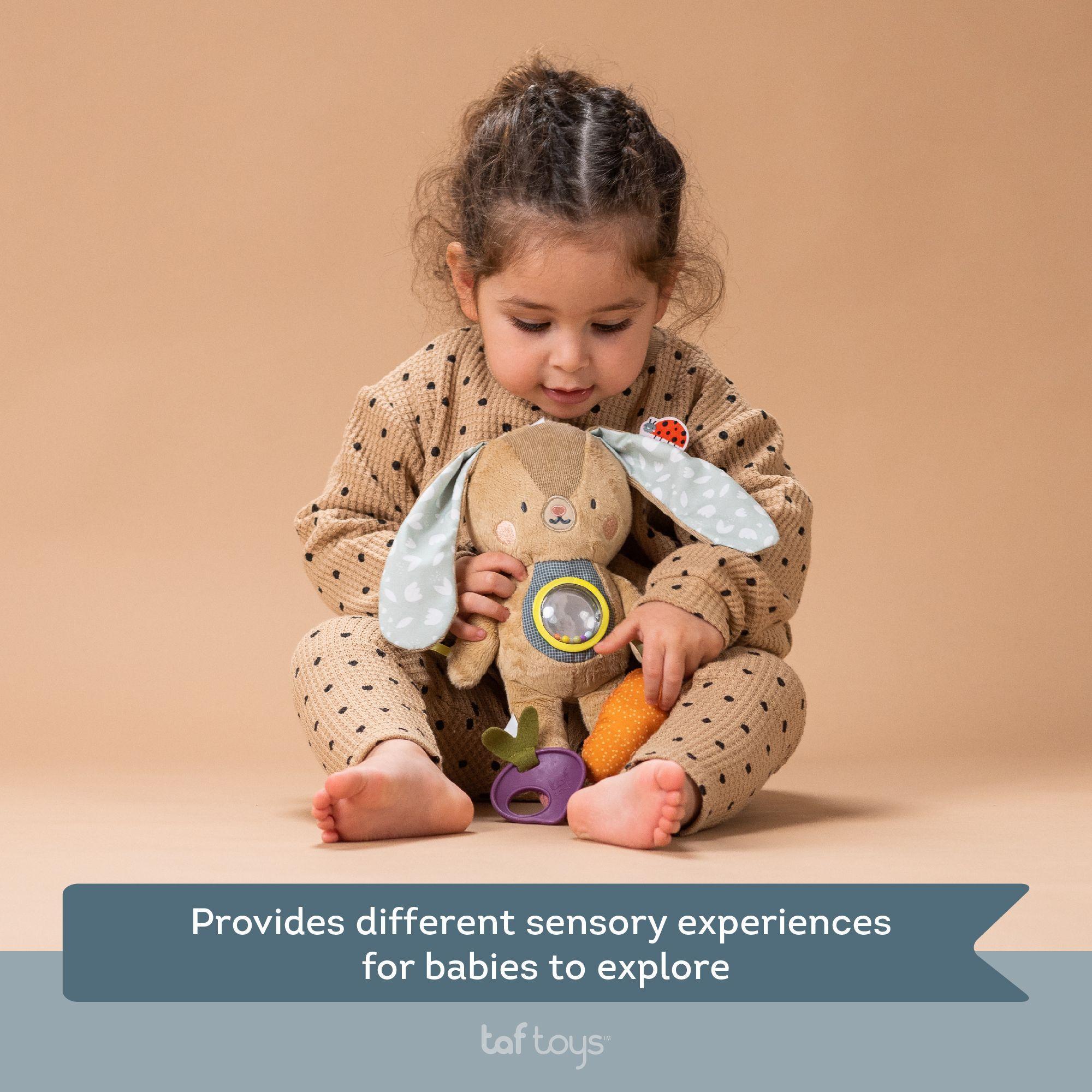 Conejo De Actividades Jenny -3