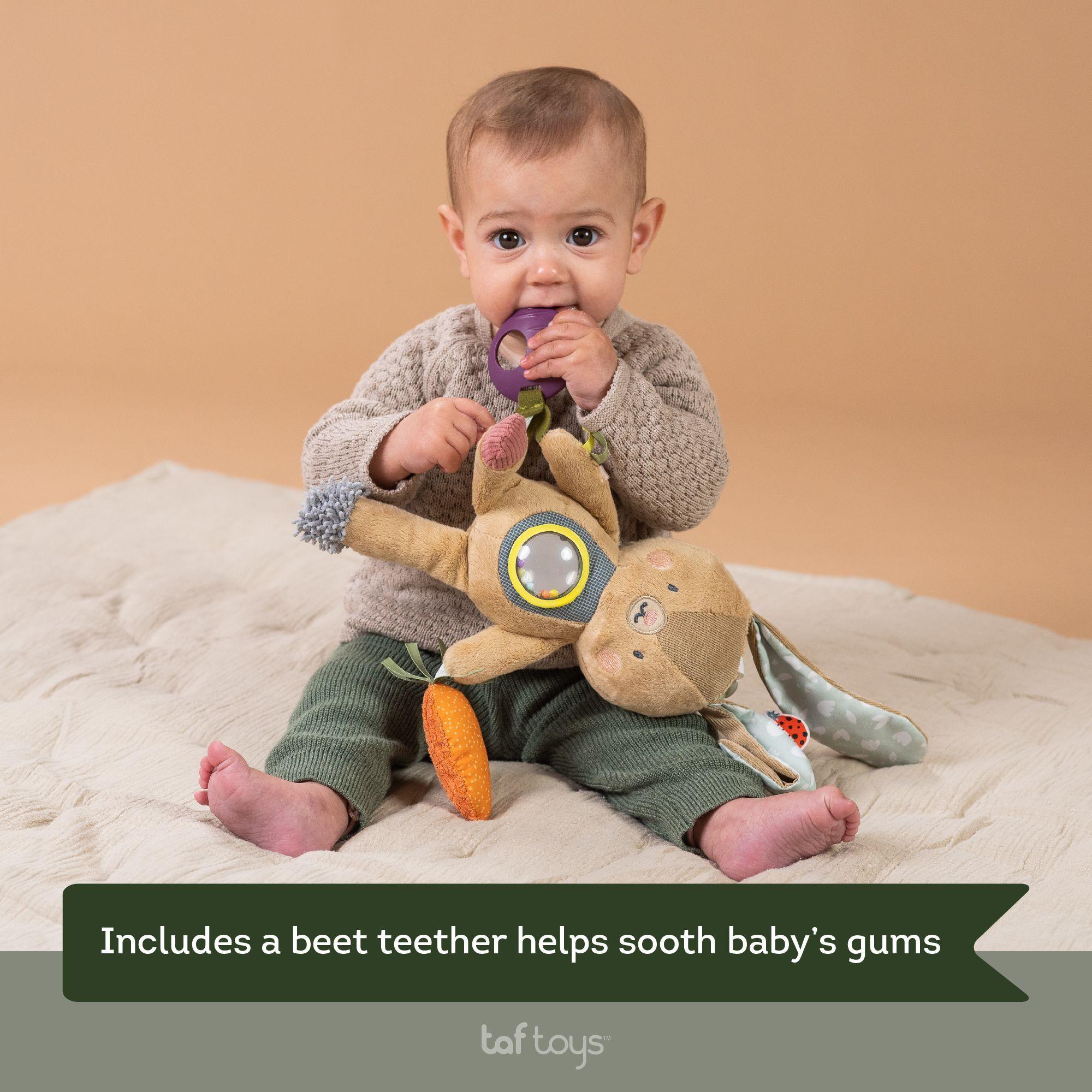 Conejo De Actividades Jenny -4