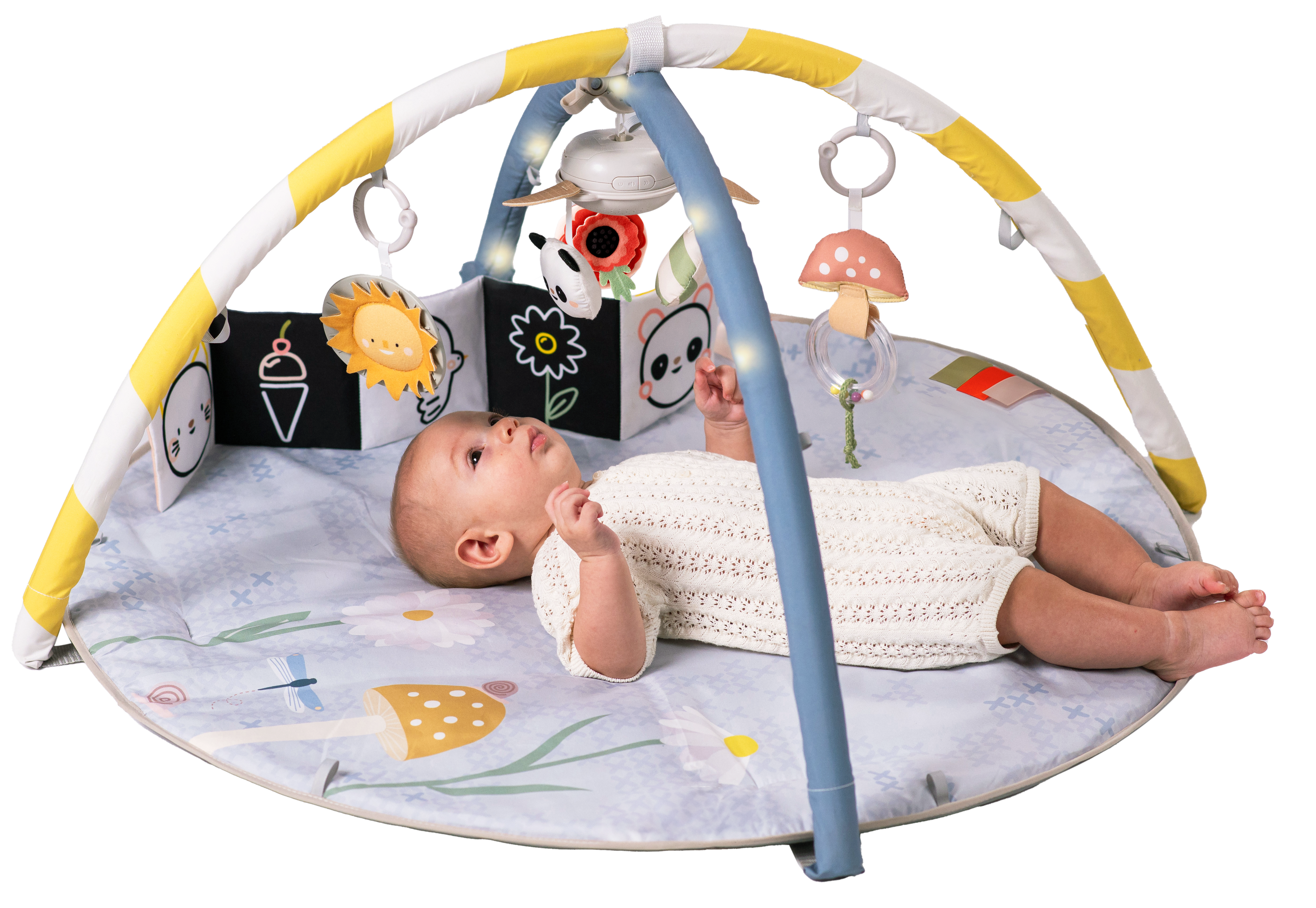 Gimnasio de Actividades Con Melodia-2