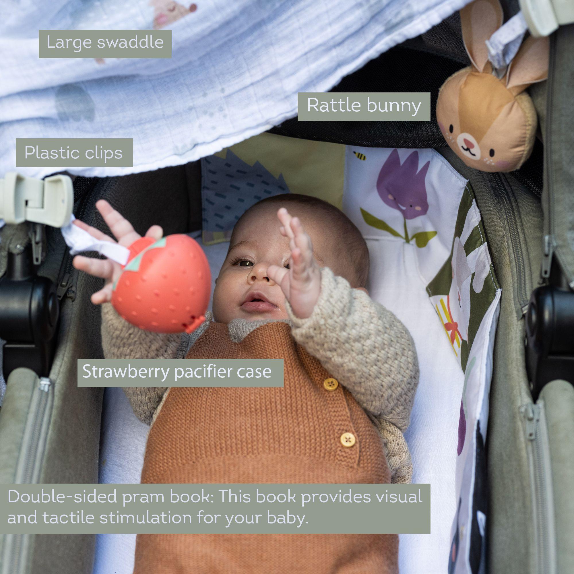 Kit de Paseo Recién Nacido -6