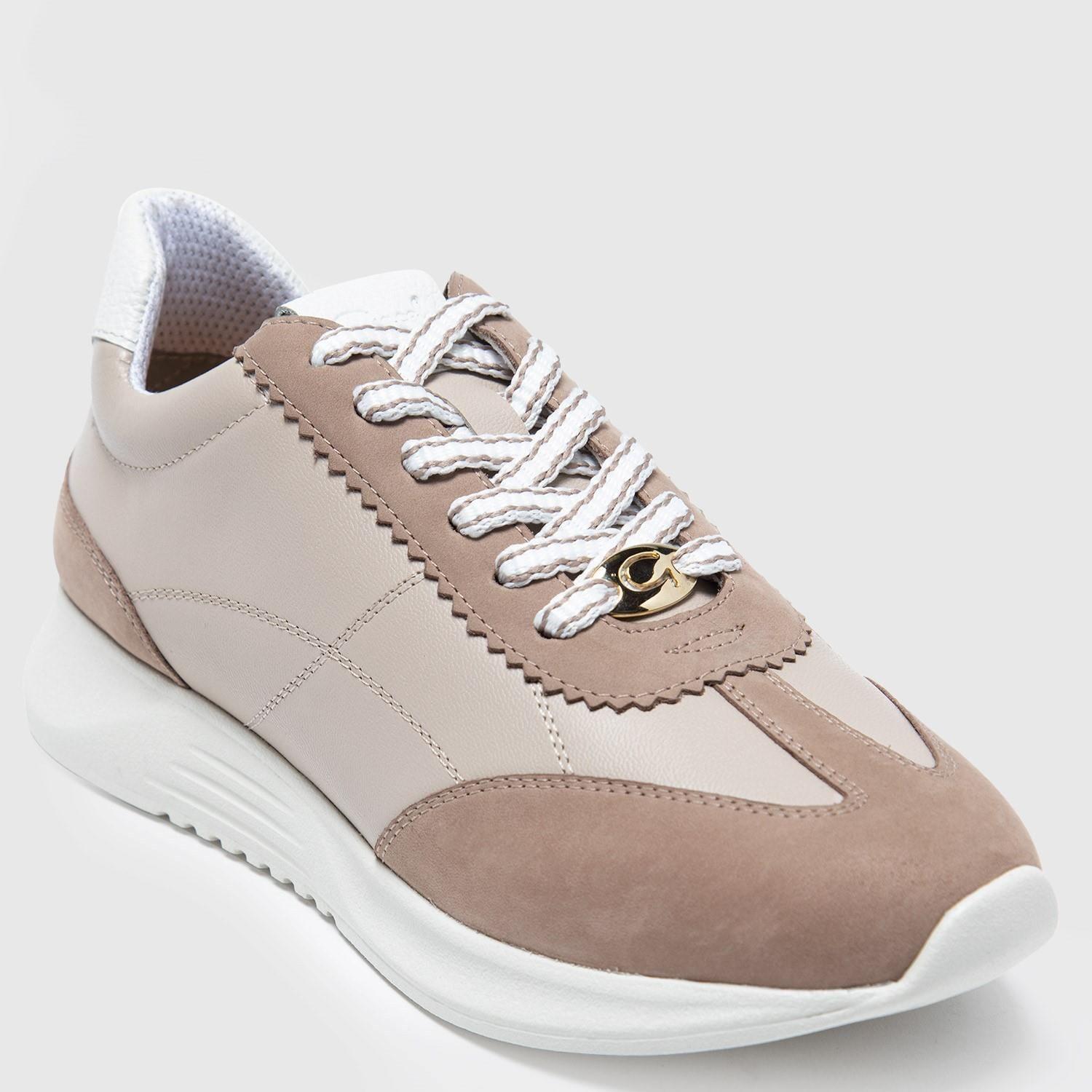 Zapatilla  Sina  Gacel  Taupe  0658814-2