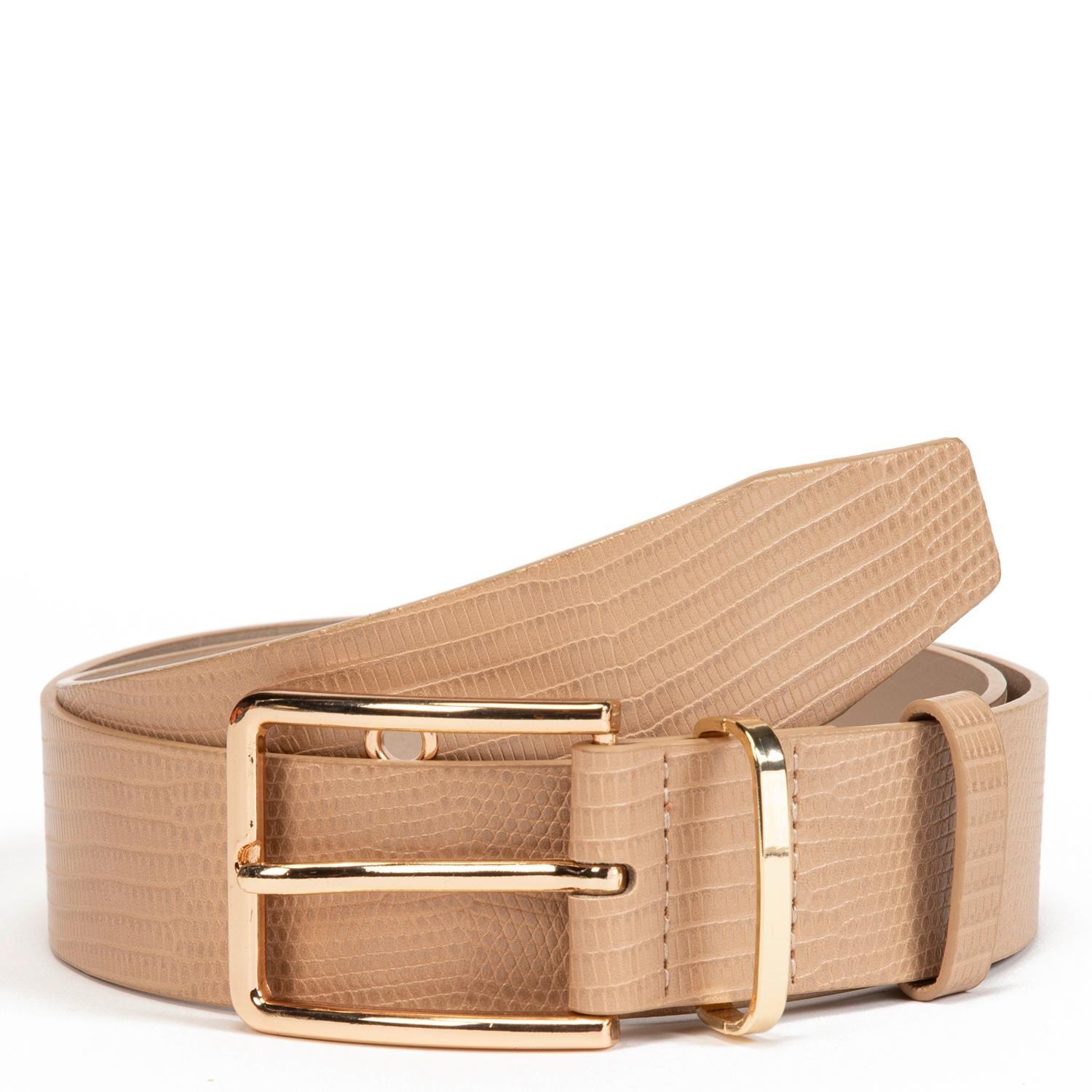 Cinturon  Sf  Guante  Negro  Ci1272-0