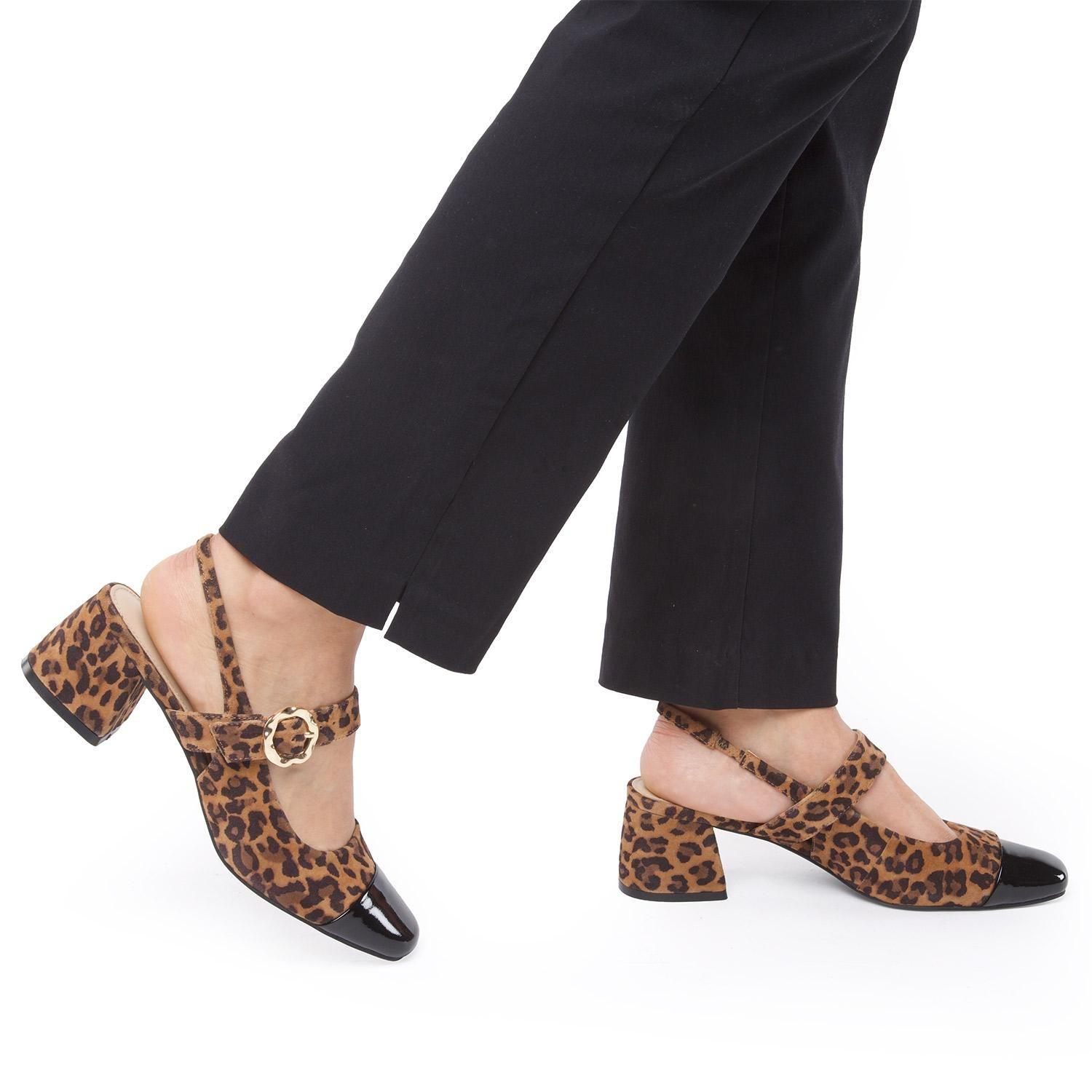 Zapato  Coco  Gacel  Leopardo  0660349-1