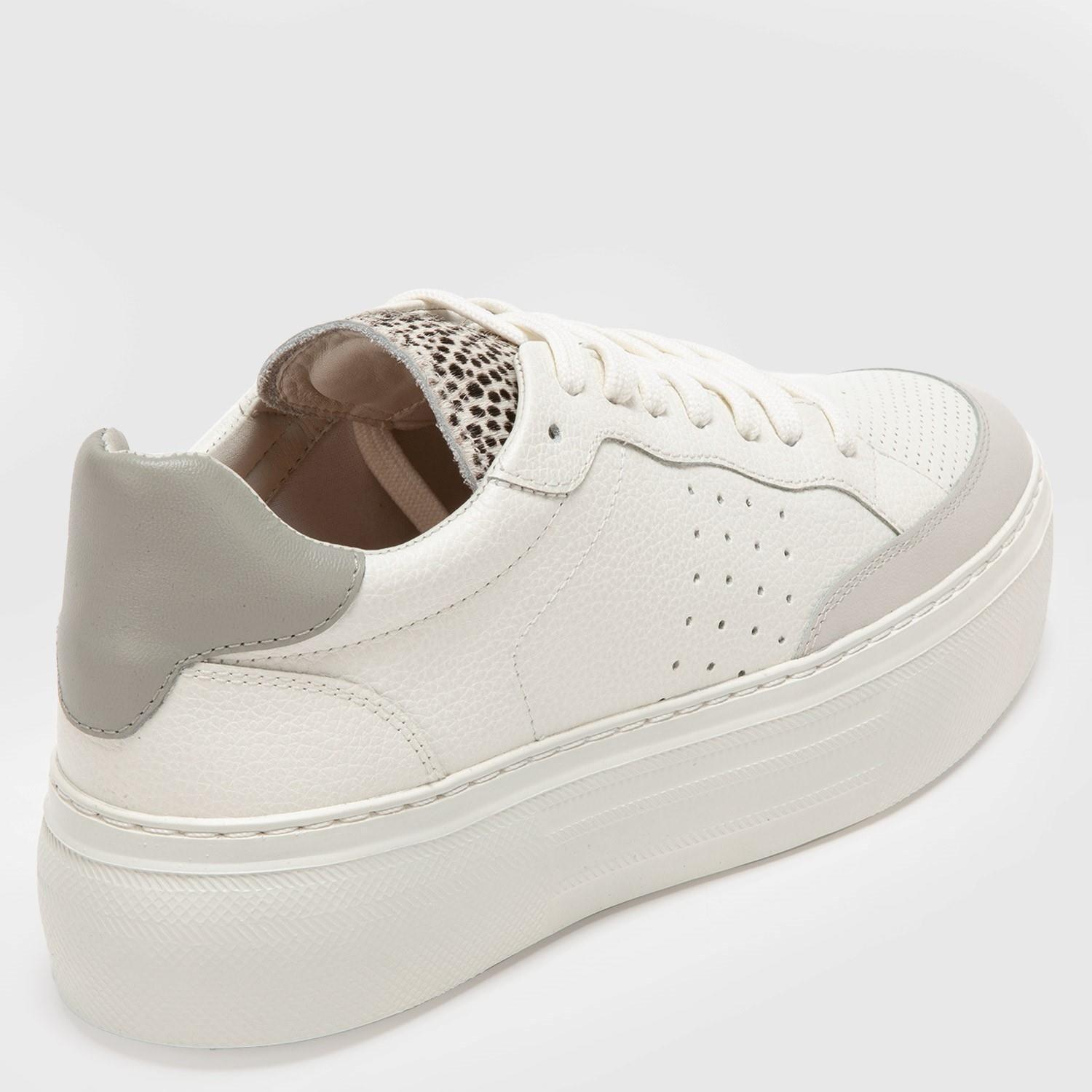 Zapatilla  Regina  Gacel  Blanco  0658804-4