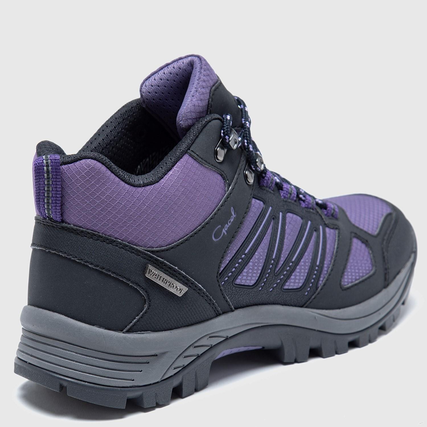 Botin  Baker  Gacel  Morado  0658558-4