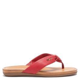 Sandalia  0315  Gacel  Rojo  0658903 -0