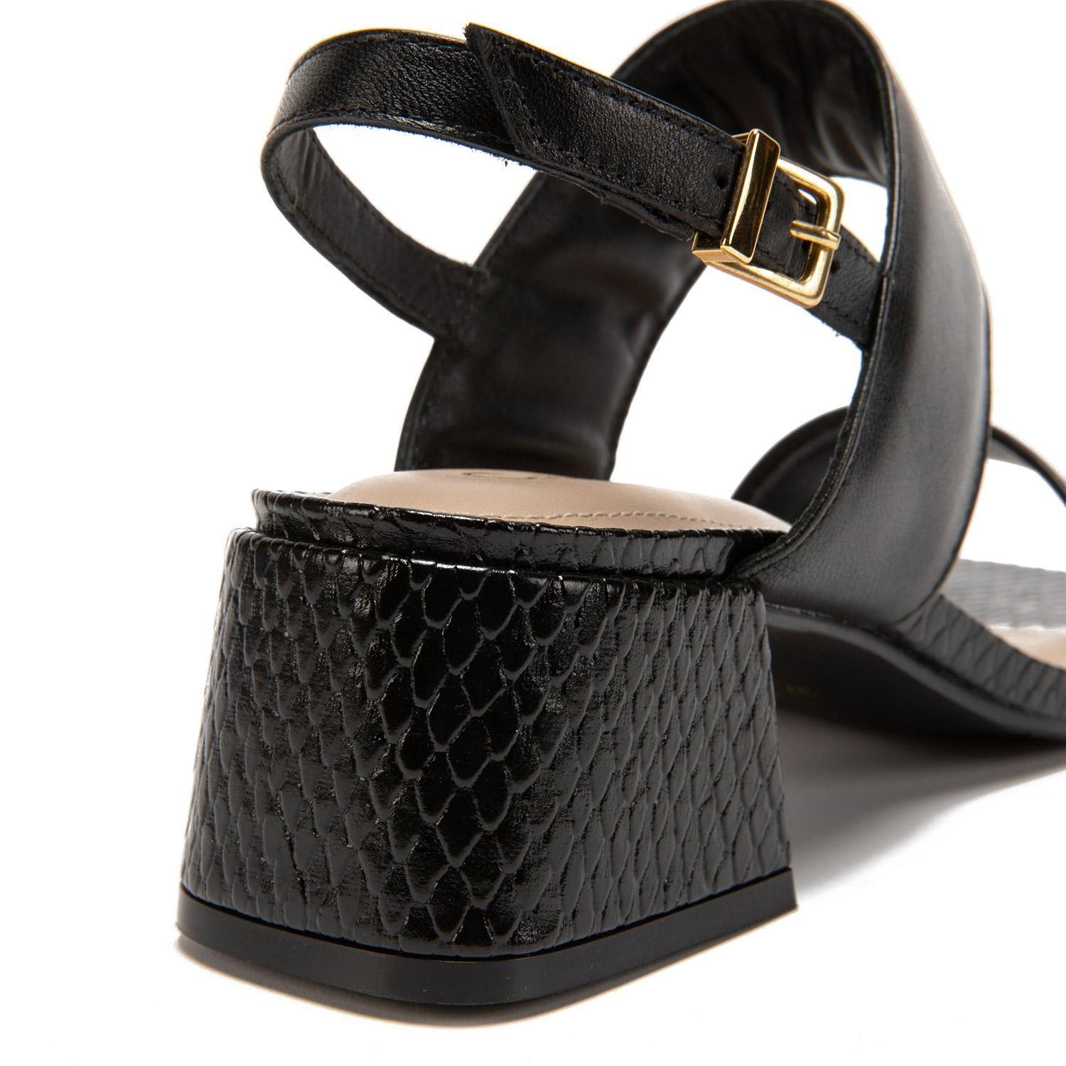 Sandalia  Calisa  Gacel  Negro  0659478-2
