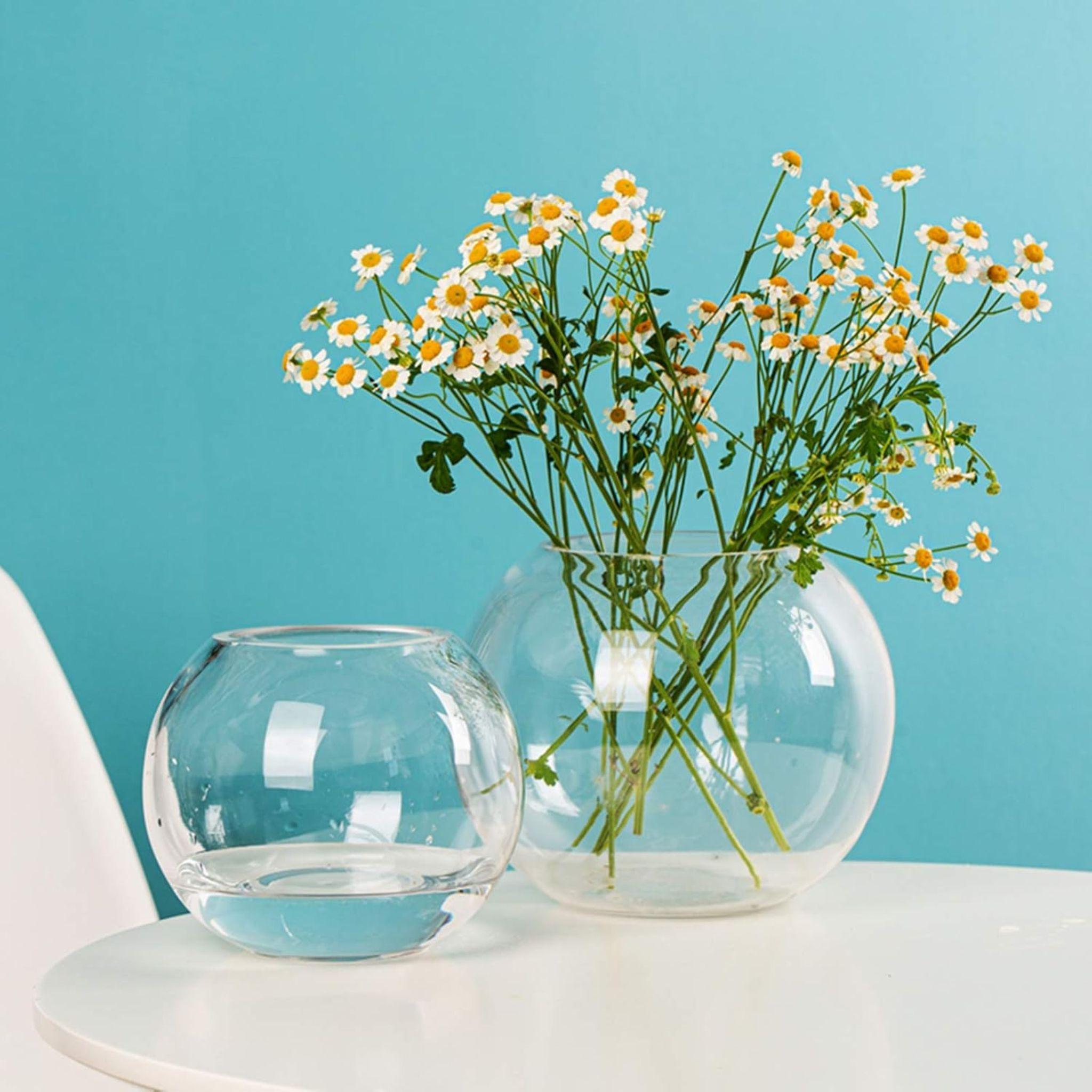 Florero De Vidrio Redondo Acuario 12cm -2