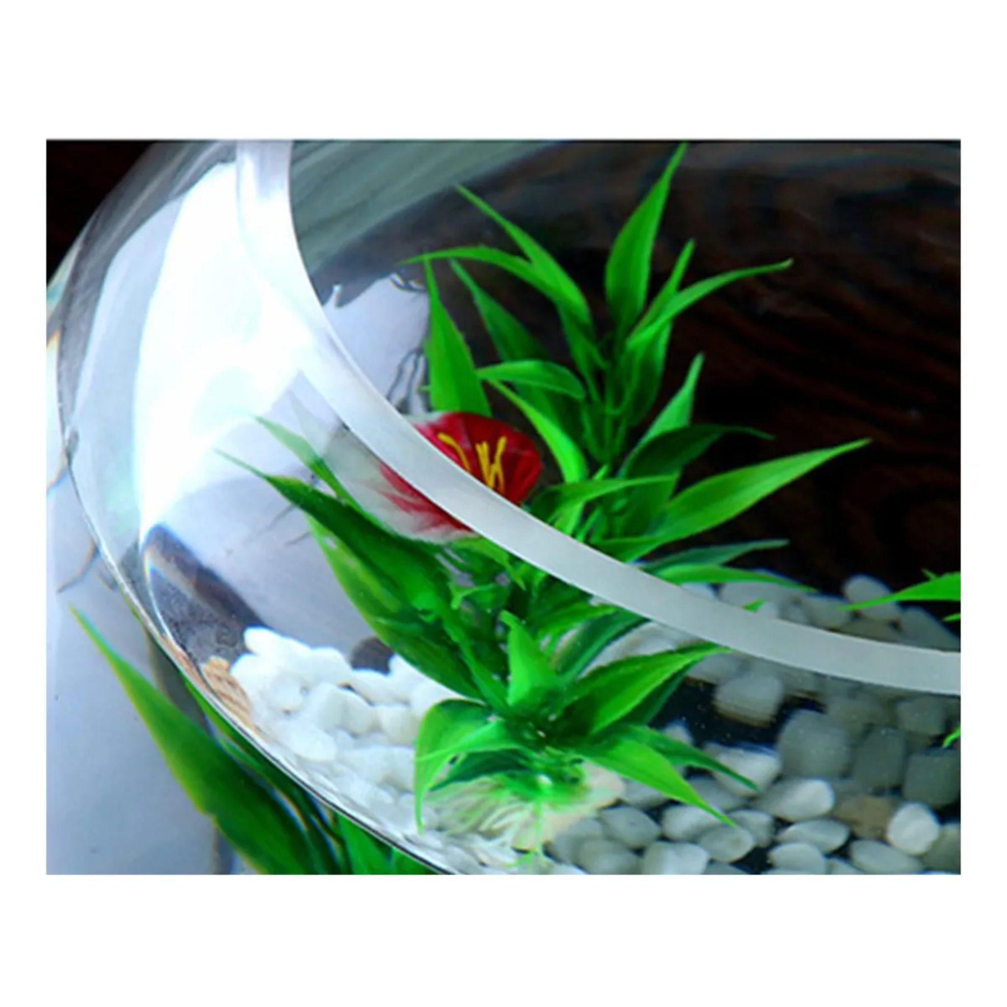 Florero / Pecera De Vidrio Grueso 8cm Allegra-3