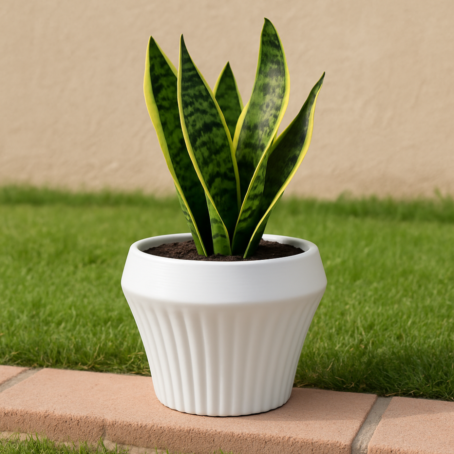 Macetero De Ceramica Blanco Mate Lineas Decorativas Maceta L-3