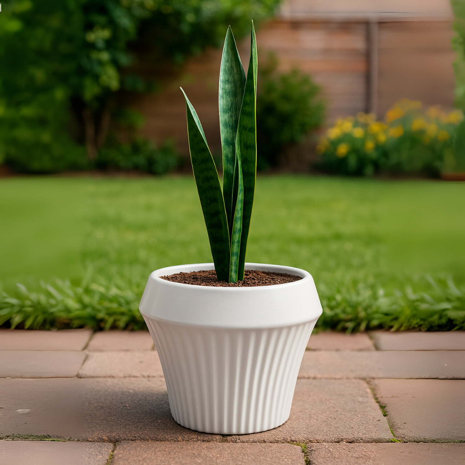 Macetero De Ceramica Blanco Mate Lineas Decorativas Maceta L-4