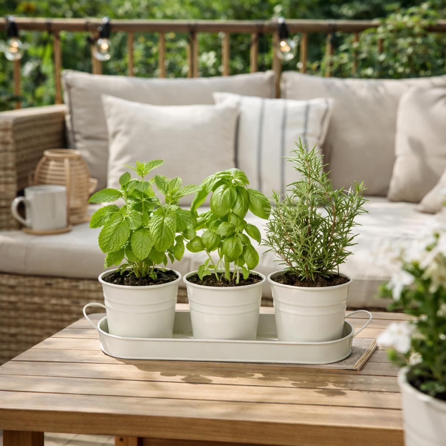 Set 3 Maceteros Maceta Metal Con Bandeja Decorativo Blanco-2