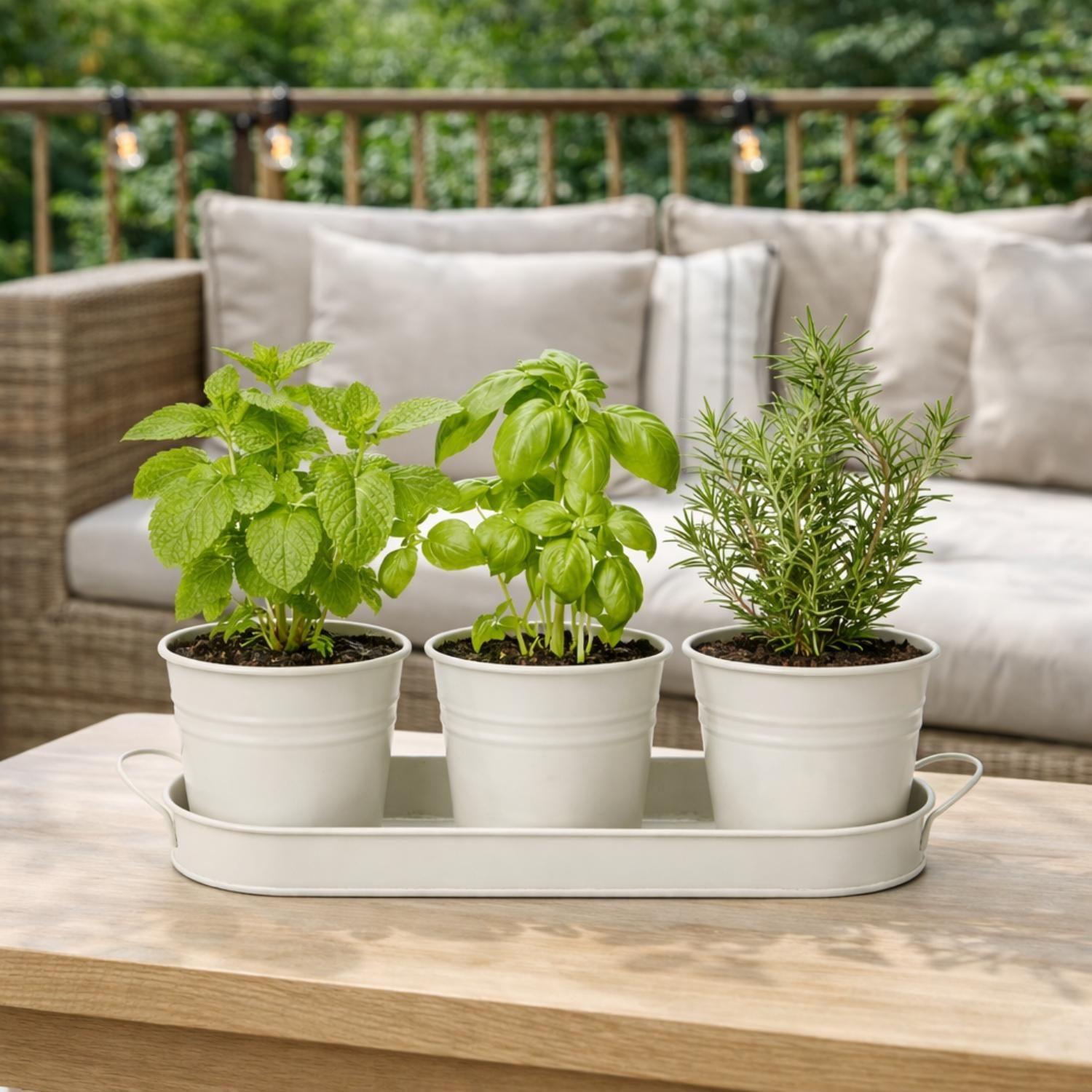 Set 3 Maceteros Maceta Metal Con Bandeja Decorativo Blanco-4