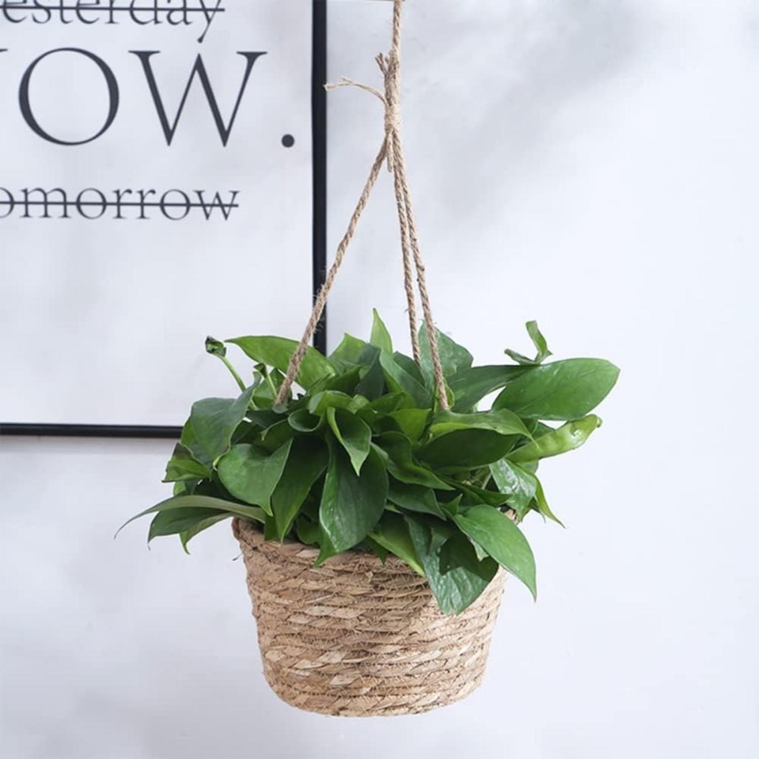 Canasto Porta Macetero Colgante De Fibra Para Casas Terrazas-1