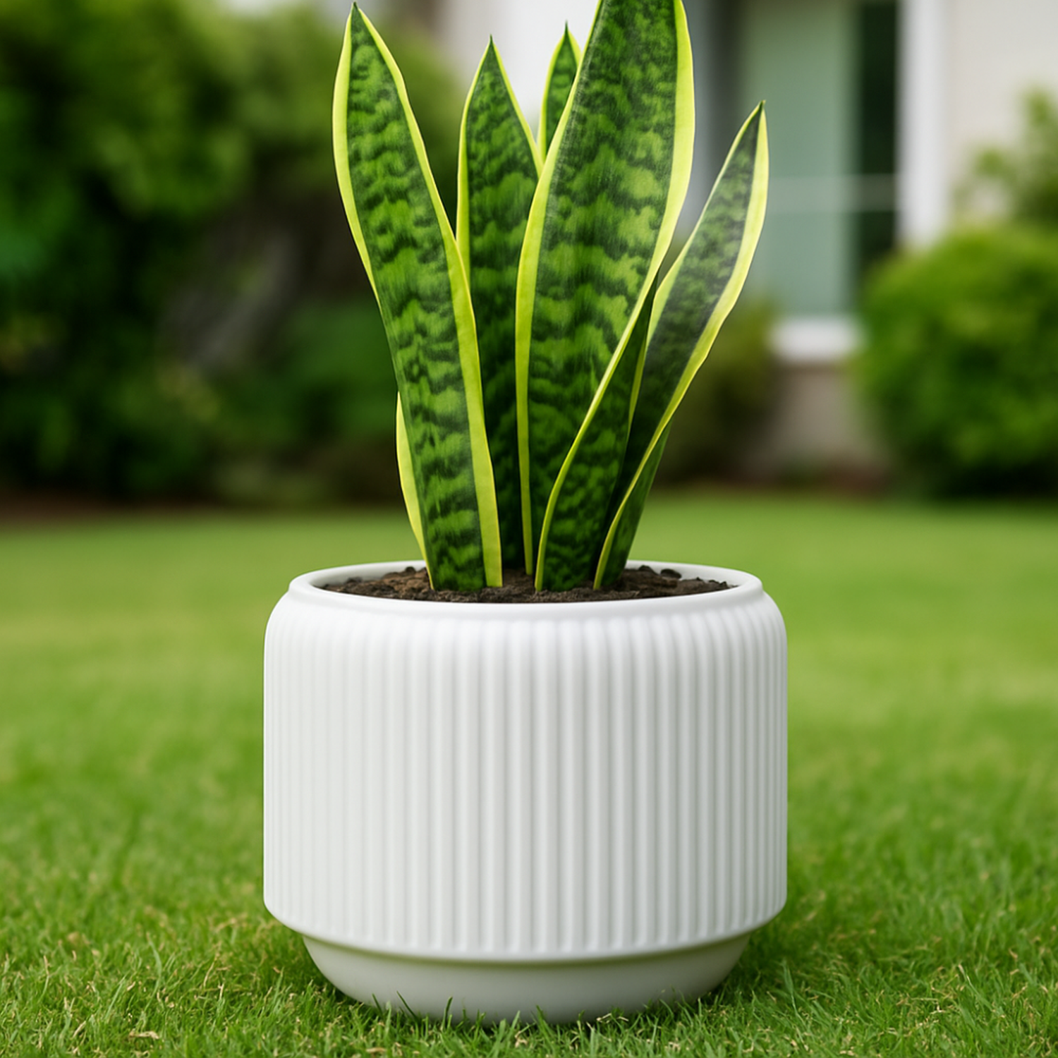 Macetero De Ceramica Blanco Mate Textura Acanalada M-2