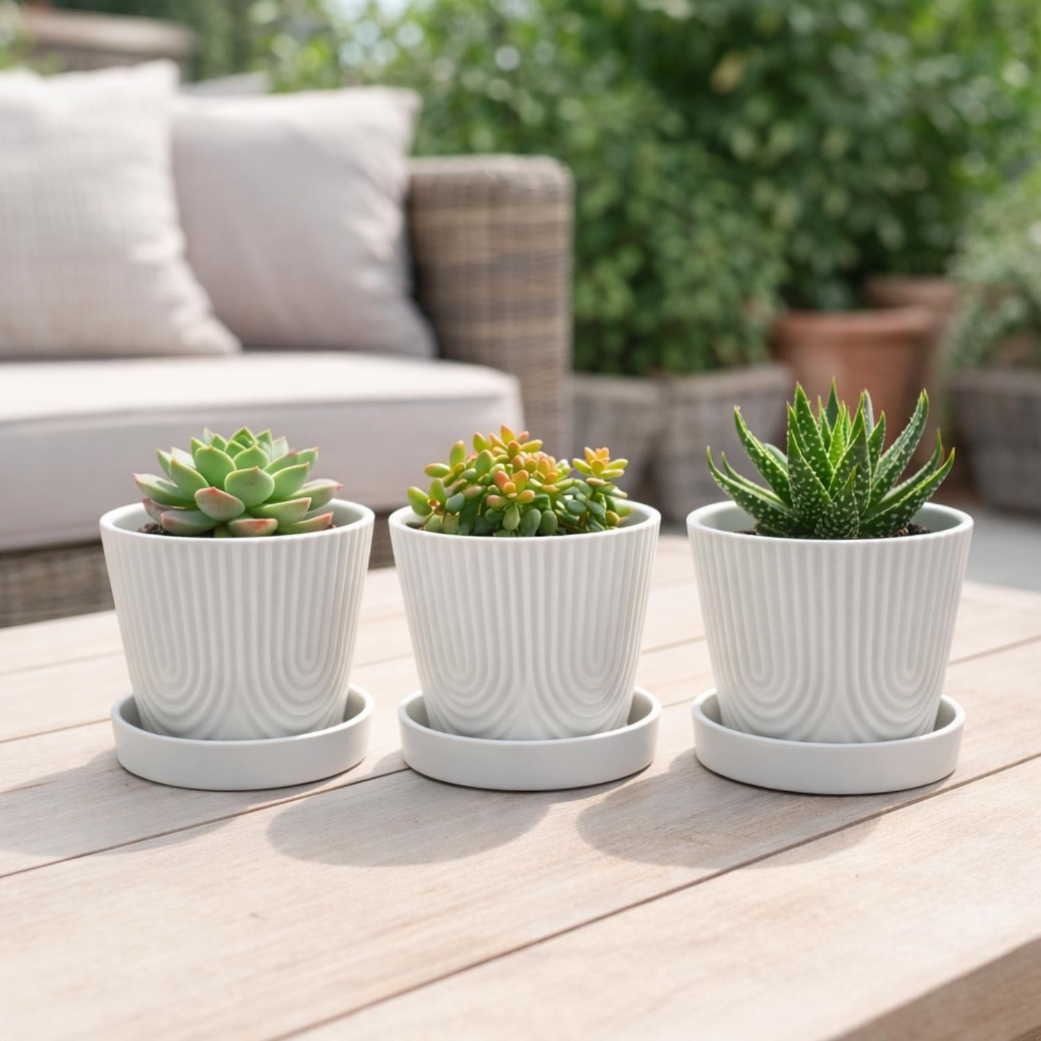 Set 3 Maceteros Con Plato Maceta Ceramica Blanco Decorativo-2