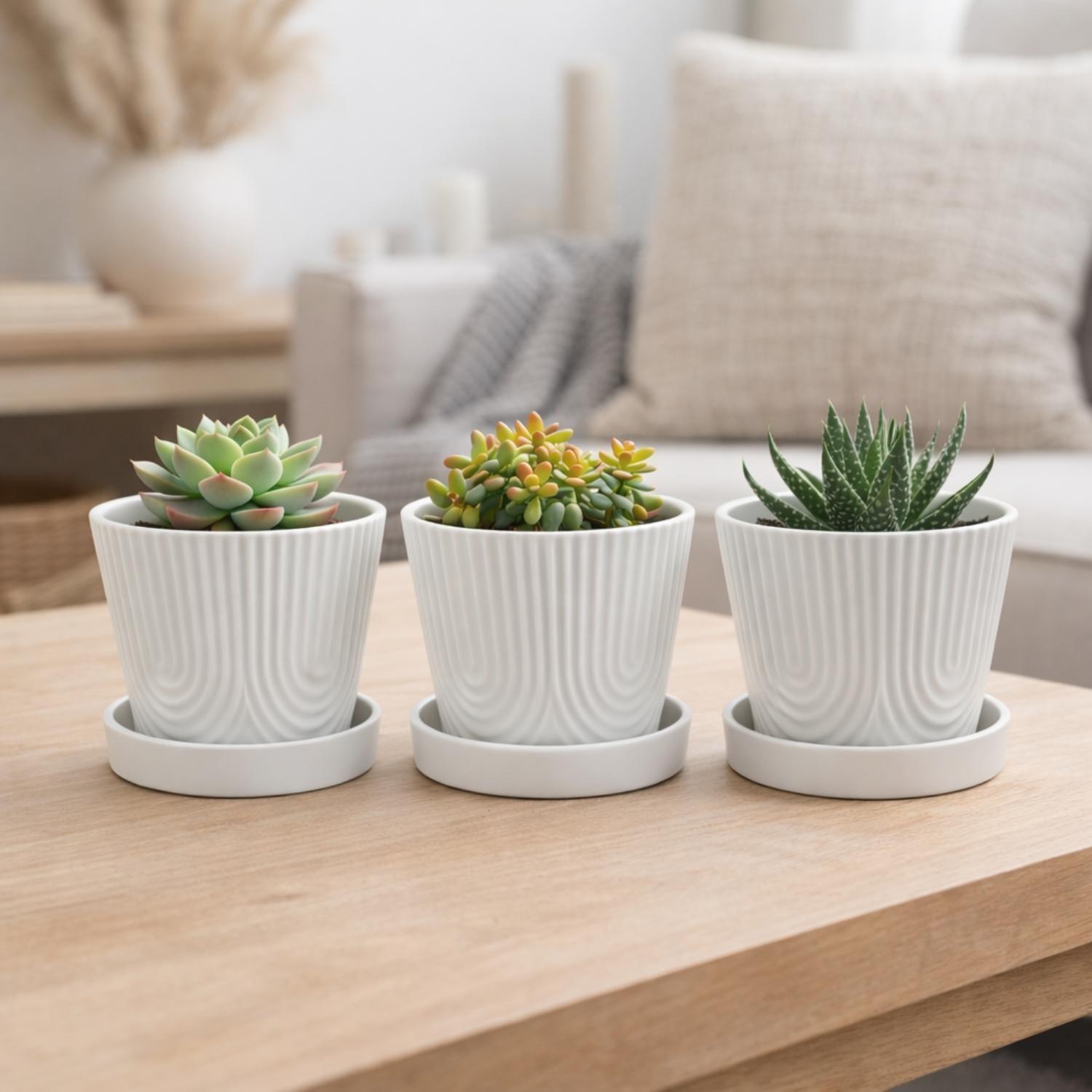 Set 3 Maceteros Con Plato Maceta Ceramica Blanco Decorativo-4