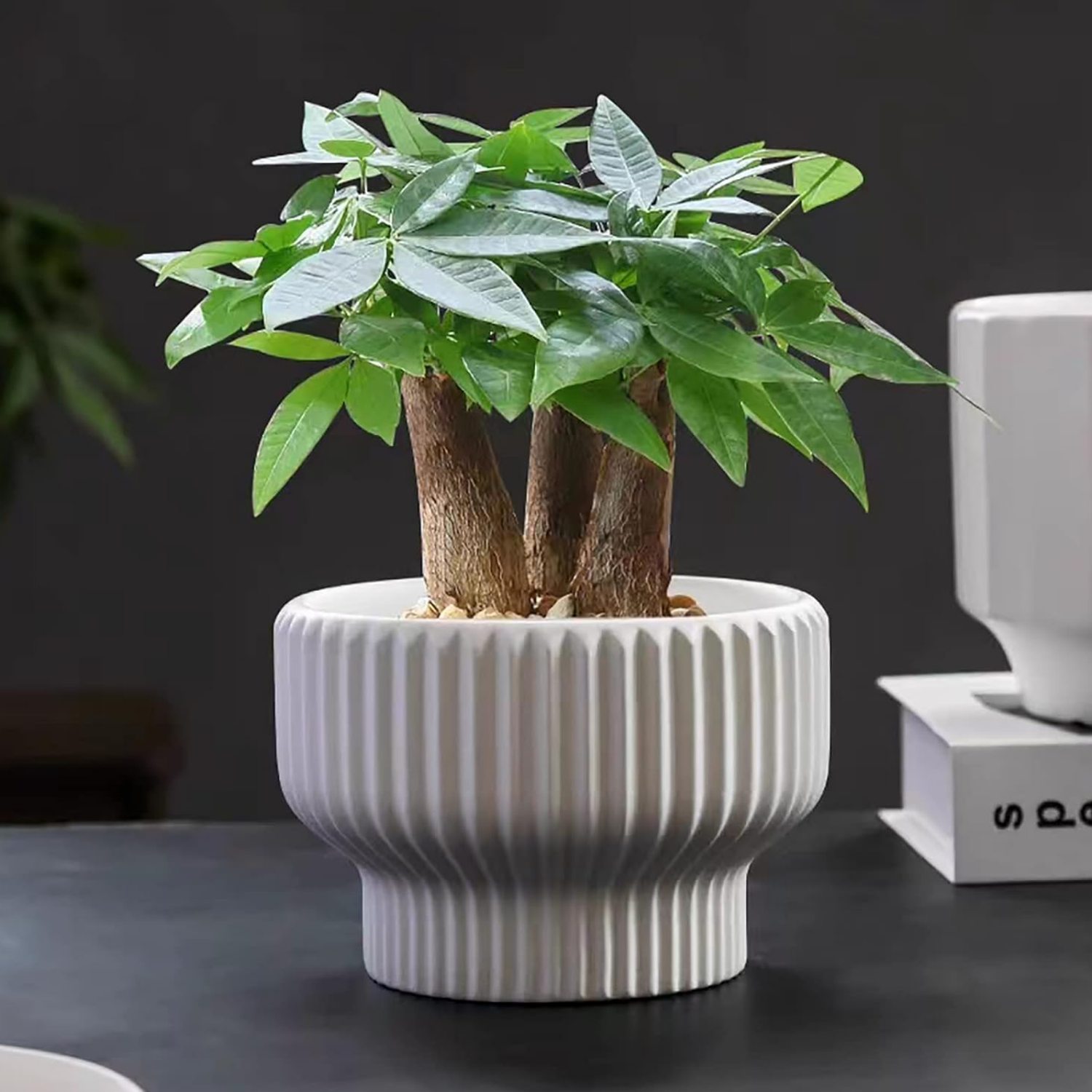 Maceteros Maceta De Ceramica Estilo Copon Blanco Mate L-4