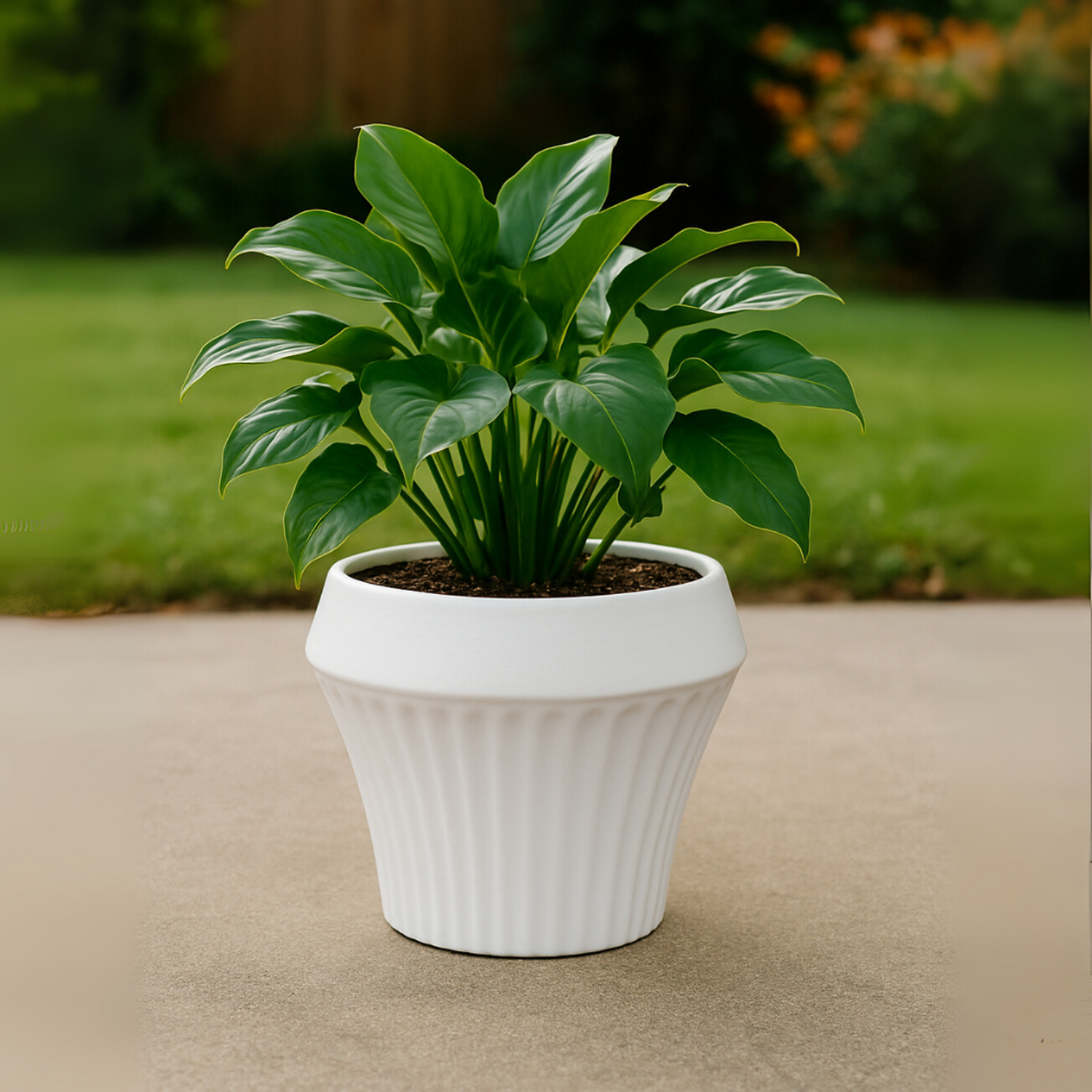 Macetero De Ceramica Blanco Mate Lineas Decorativas Maceta M-2