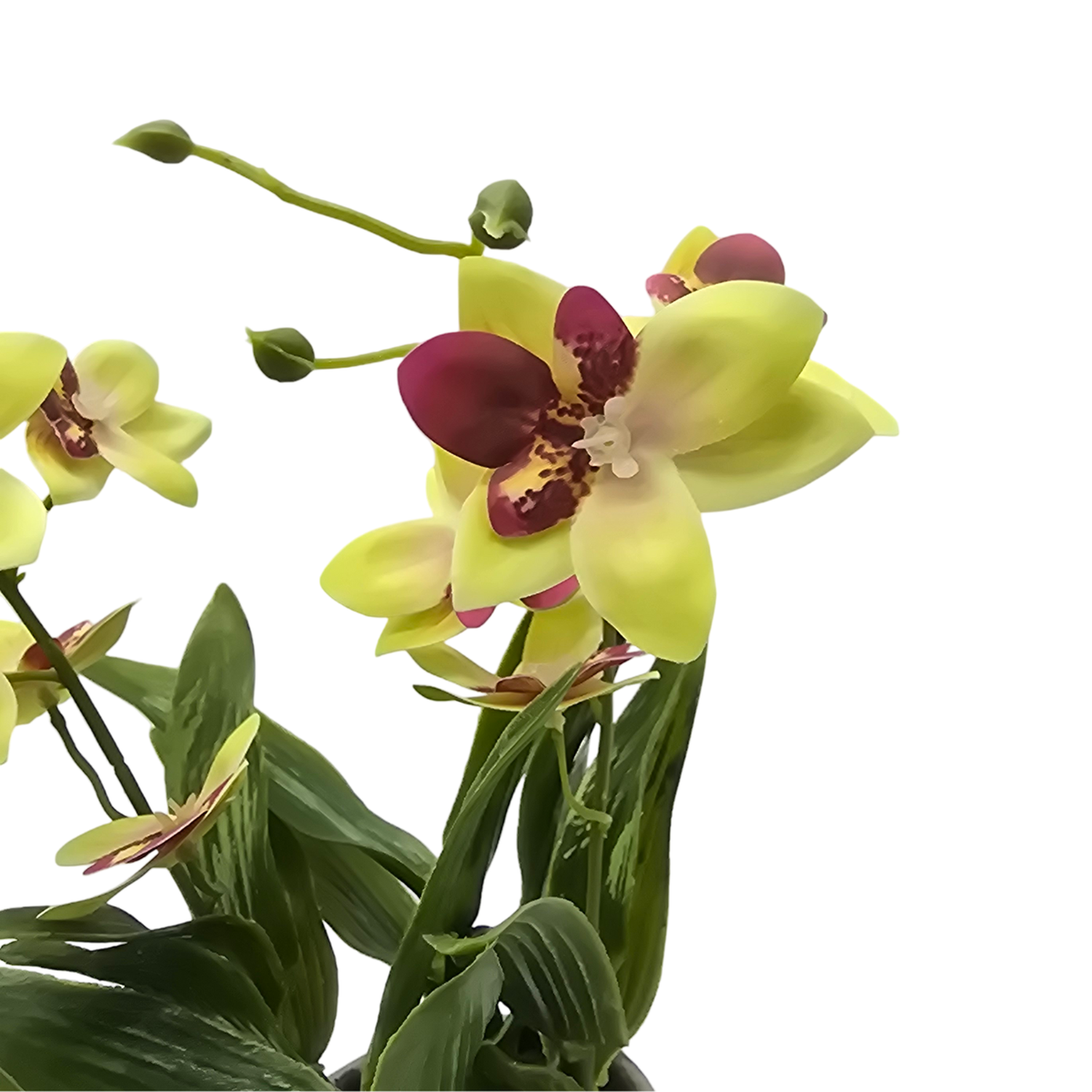 Planta Artificial Orquidea Amarillo Decorativa Macetero Loza-2