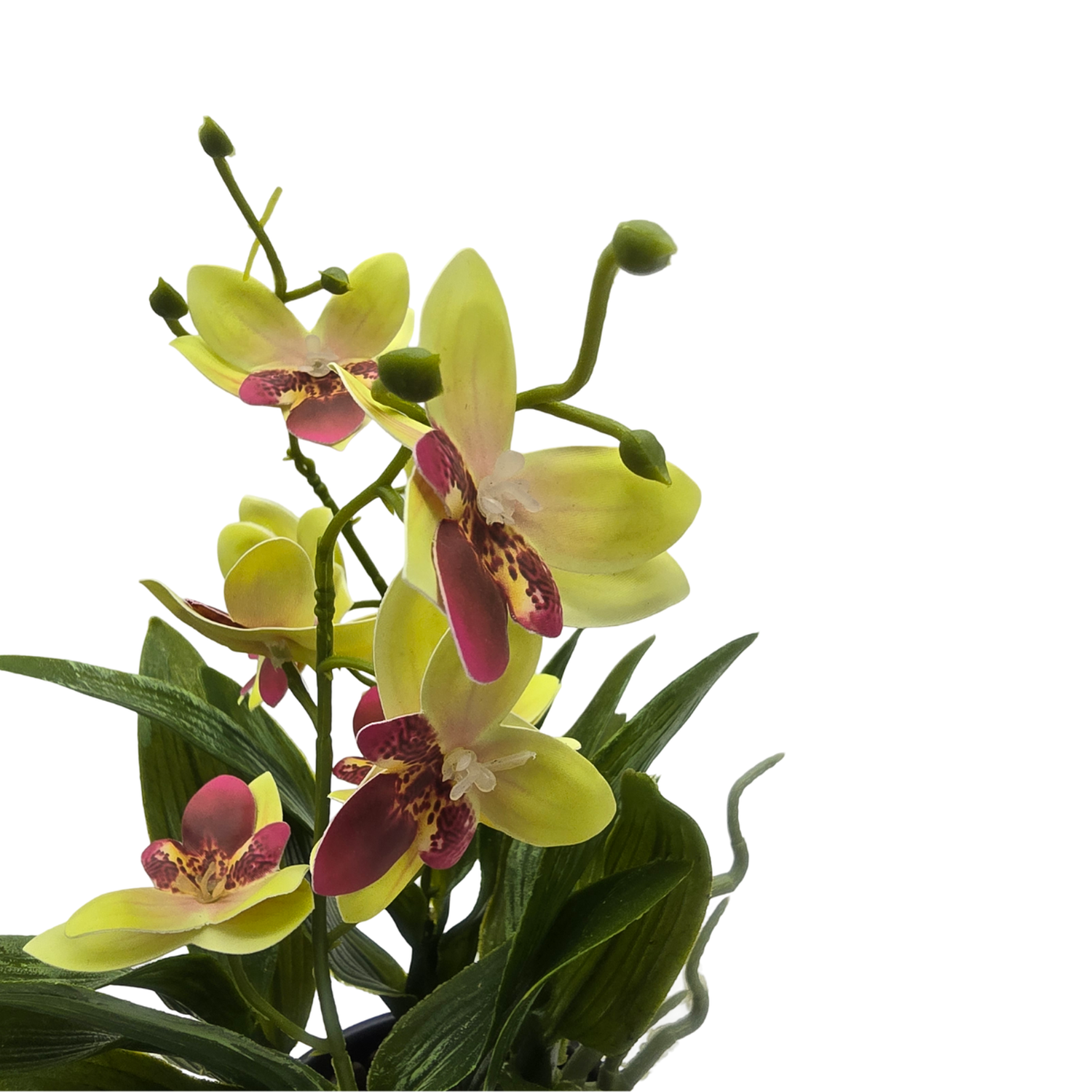 Planta Artificial Orquidea Amarillo Decorativa Macetero Loza-4