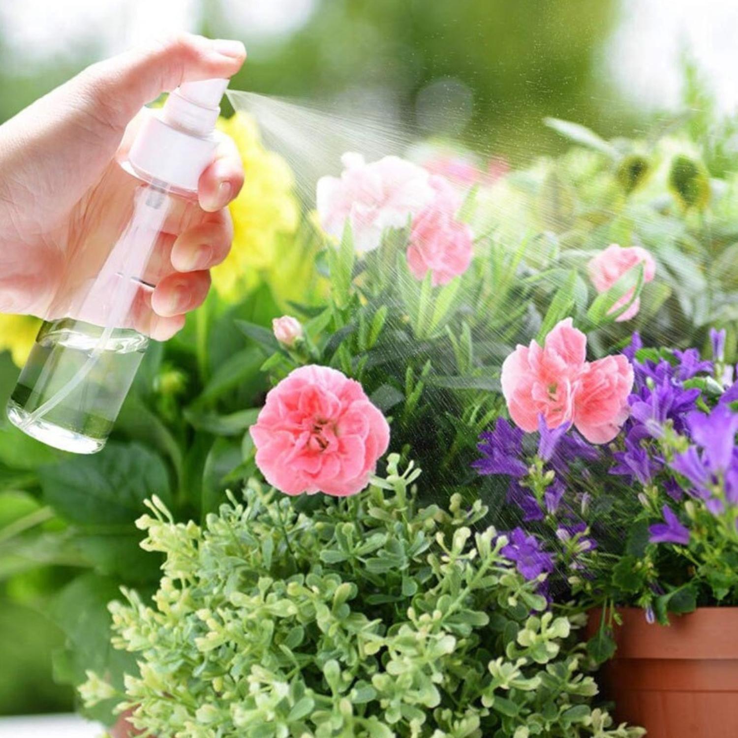 Set 3 Botella De Viaje Pulverizador 100 Ml Transparente-4