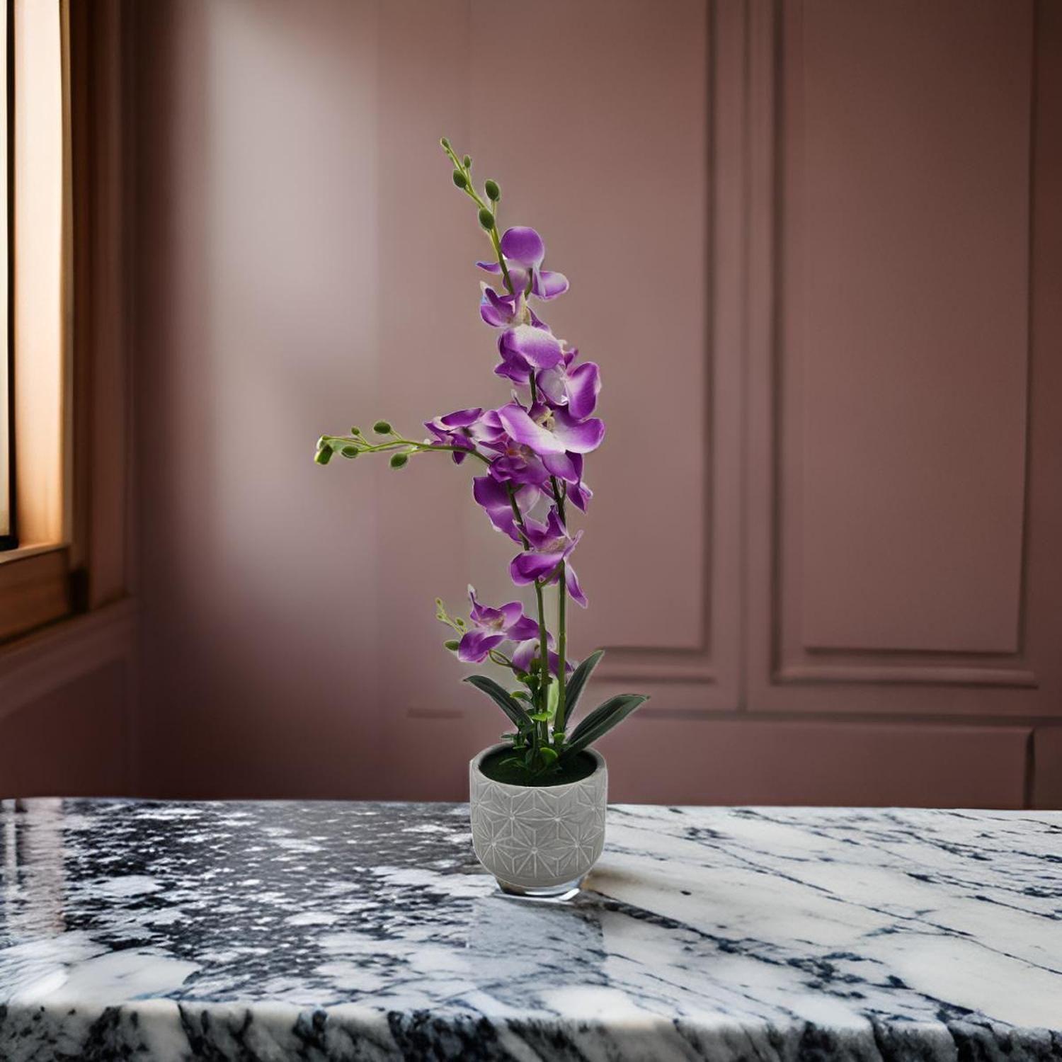 Planta Artificial Orquidea Grande Macetero De Cemento-2