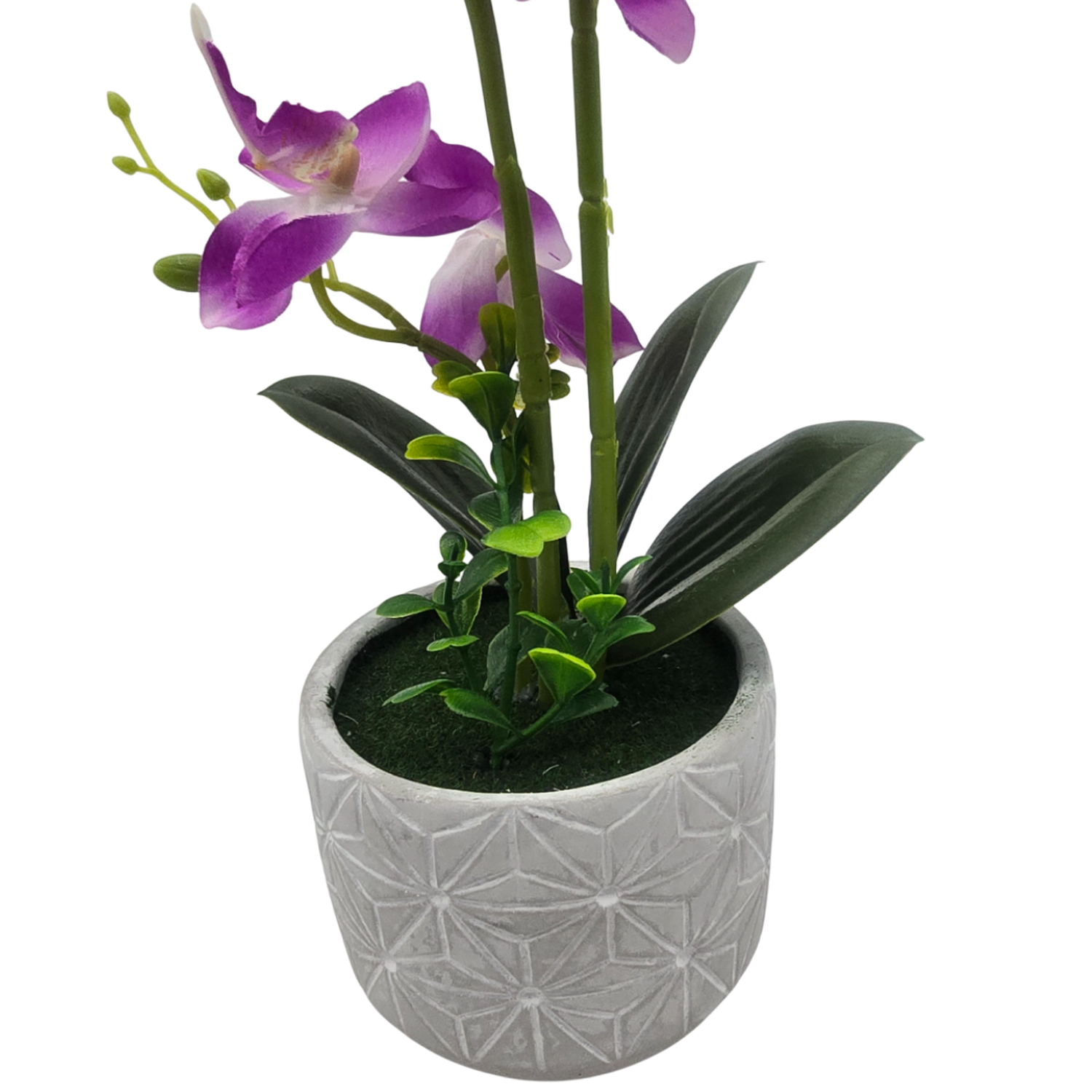 Planta Artificial Orquidea Grande Macetero De Cemento-3