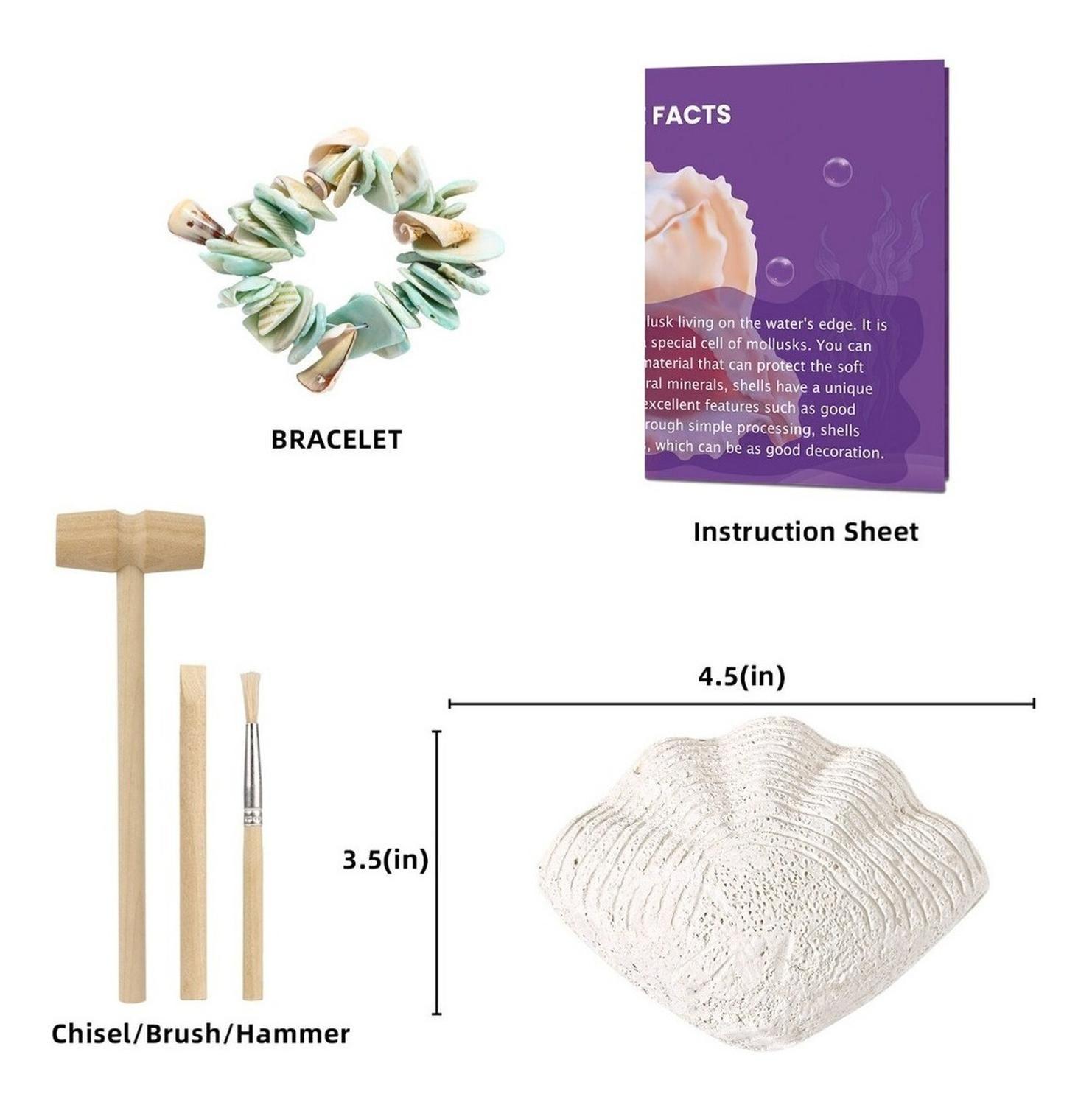 Kit Excavación Descubre Conchitas De Mar Juguete Didáctico-2