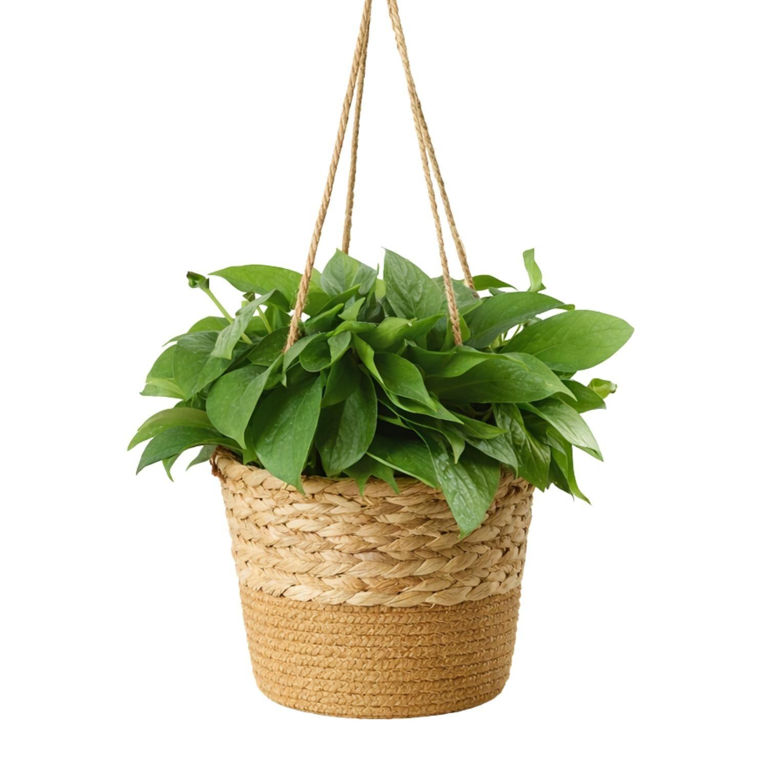 Canasto Porta Macetero Colgante De Fibra Decorativo Terraza-5