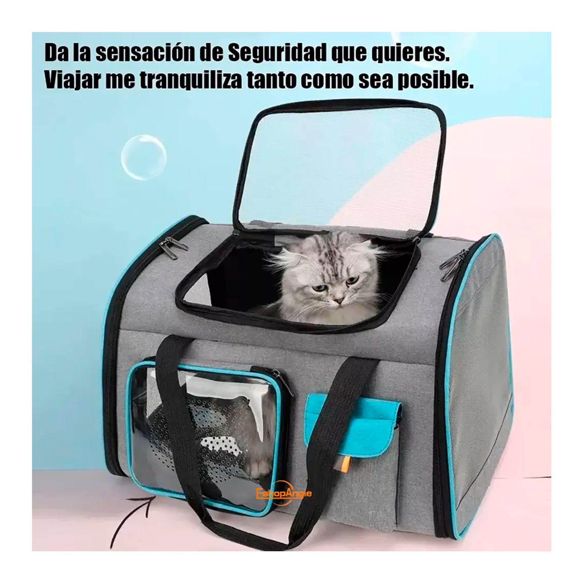 Bolso Transportador Para Mascota Viaje Mochila Transpirable-7