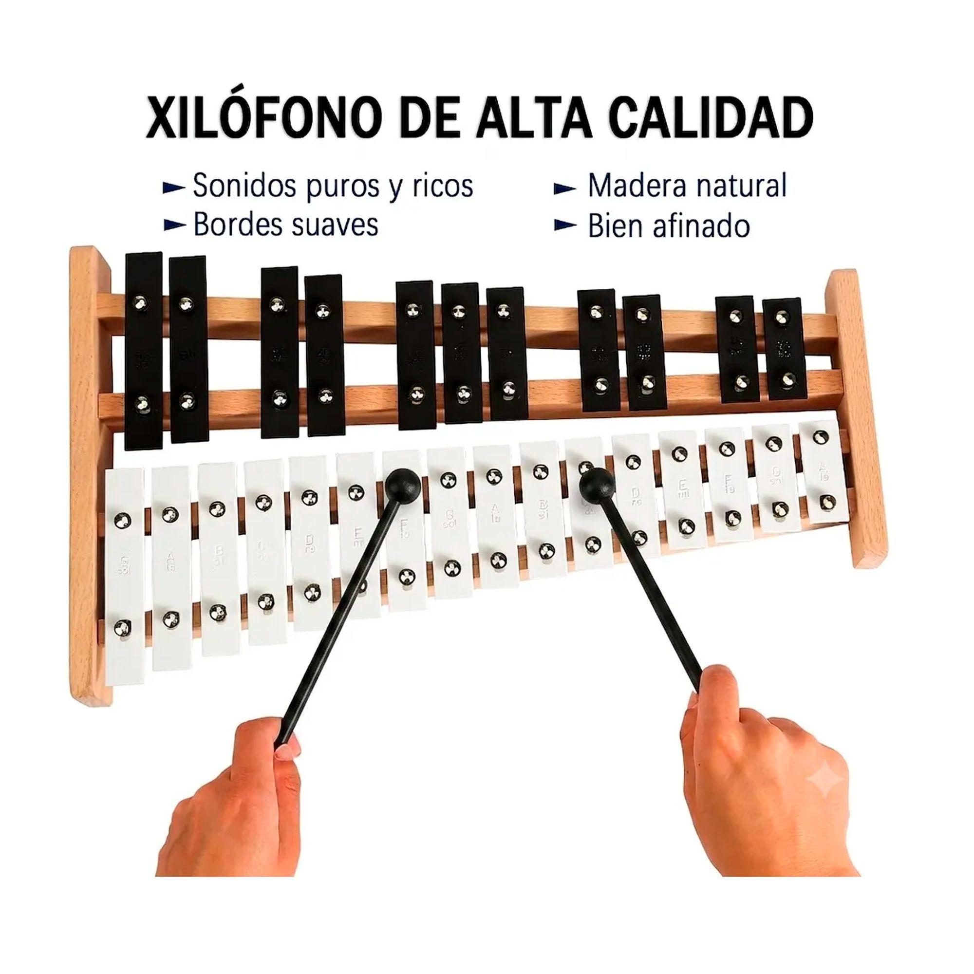 Xilofono 27 Notas Base Madera Y Metal Metalofono Educativo-1
